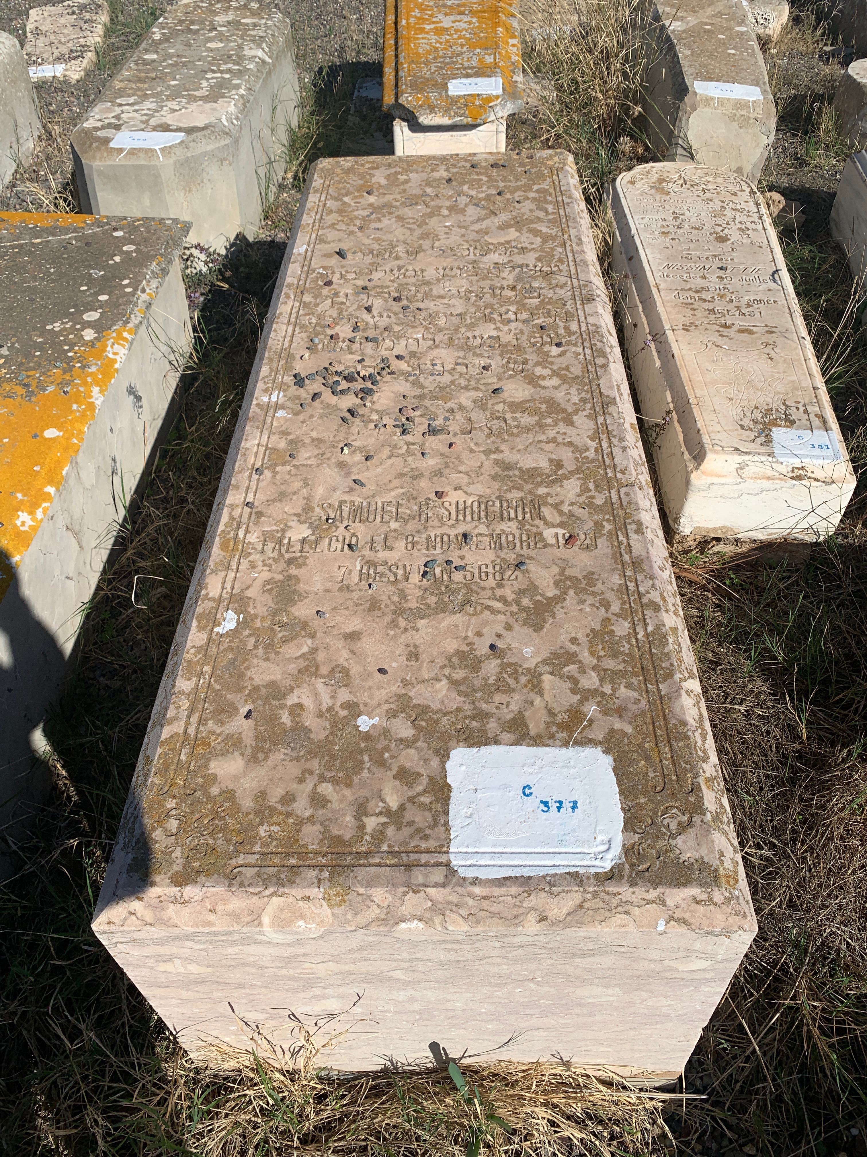 מצבת Shocroun Samuel