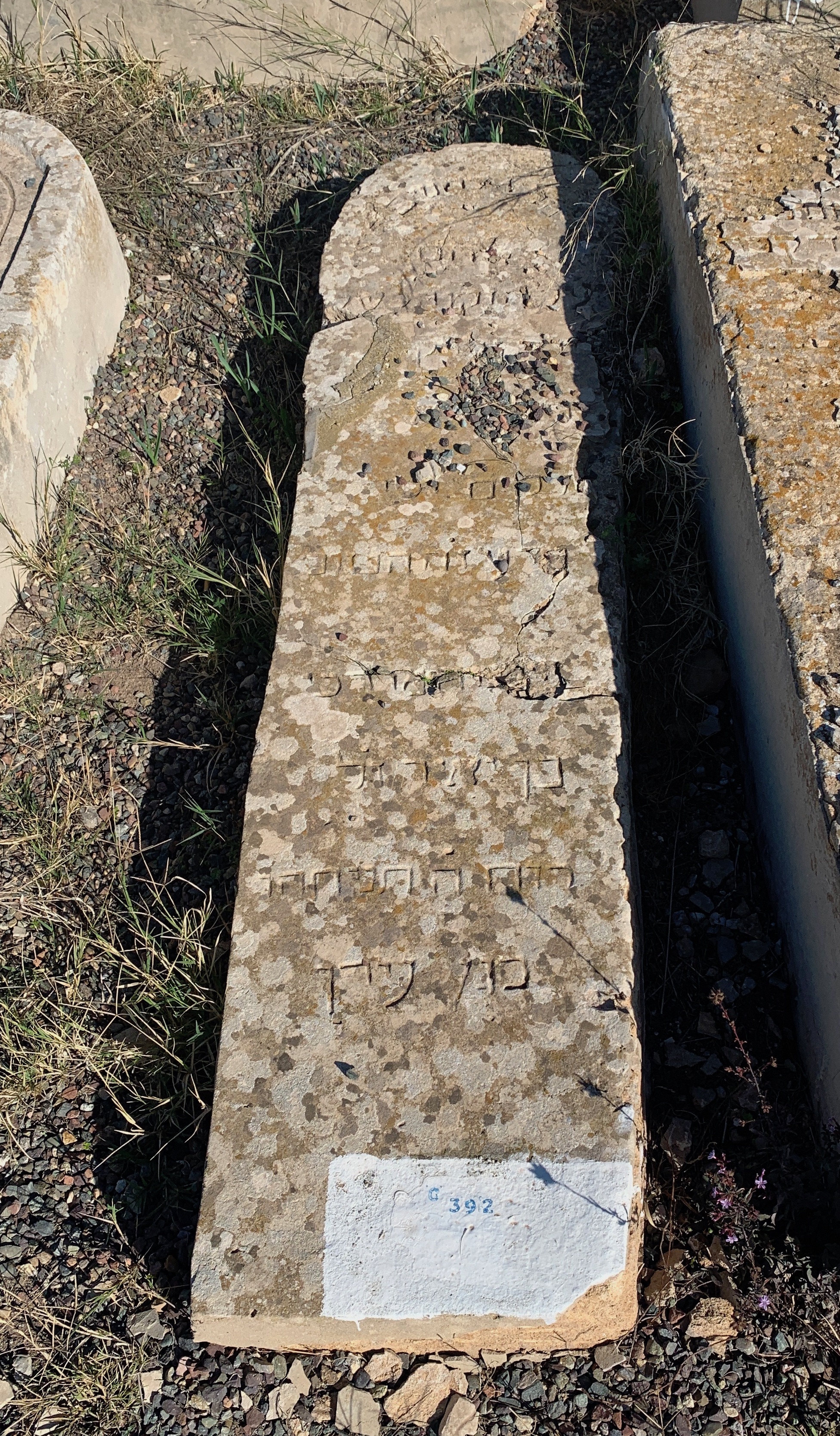 Stèle de Ben Yair Shiimon /Simha
