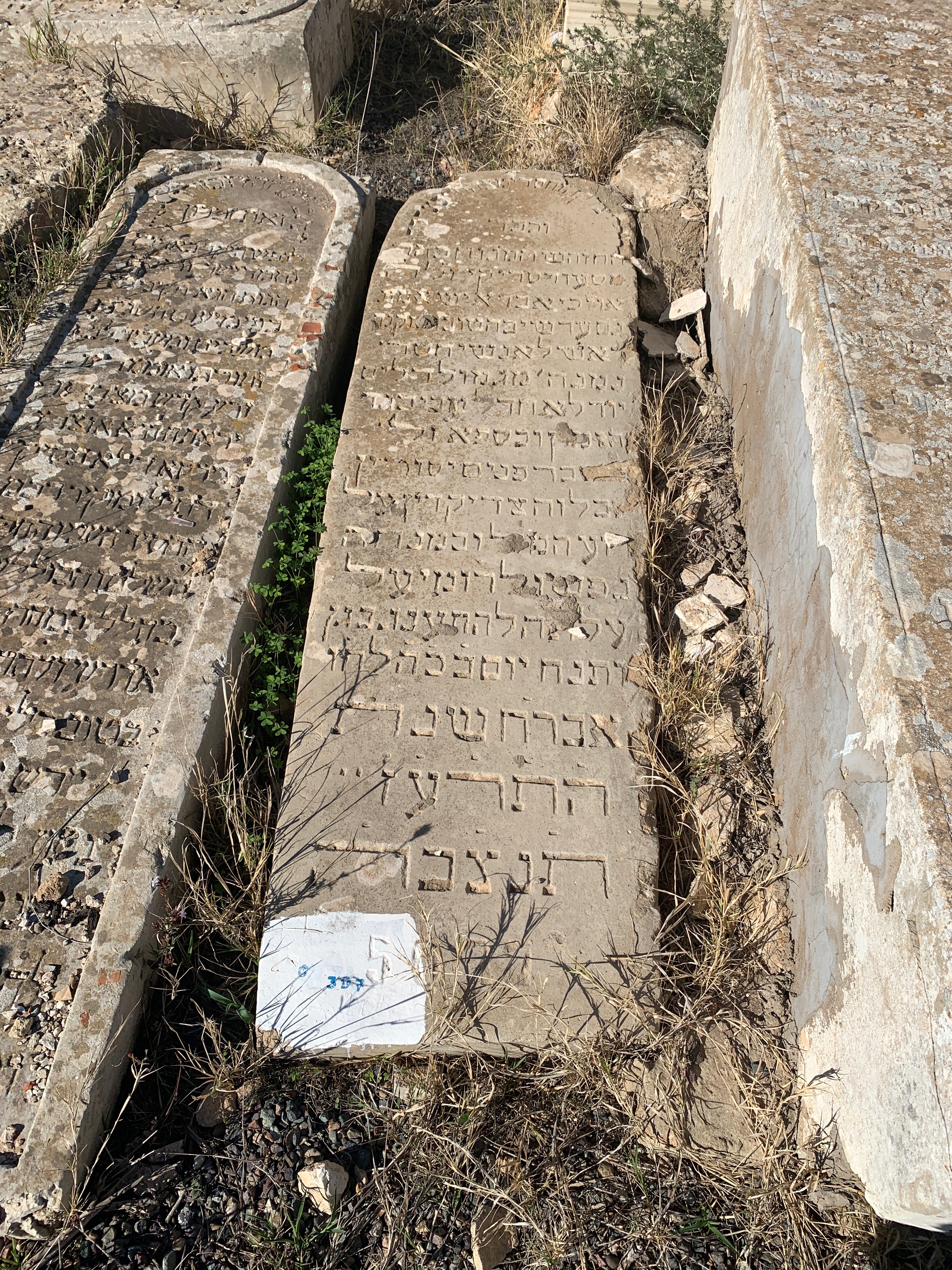 Stèle de Chriqui Massoud