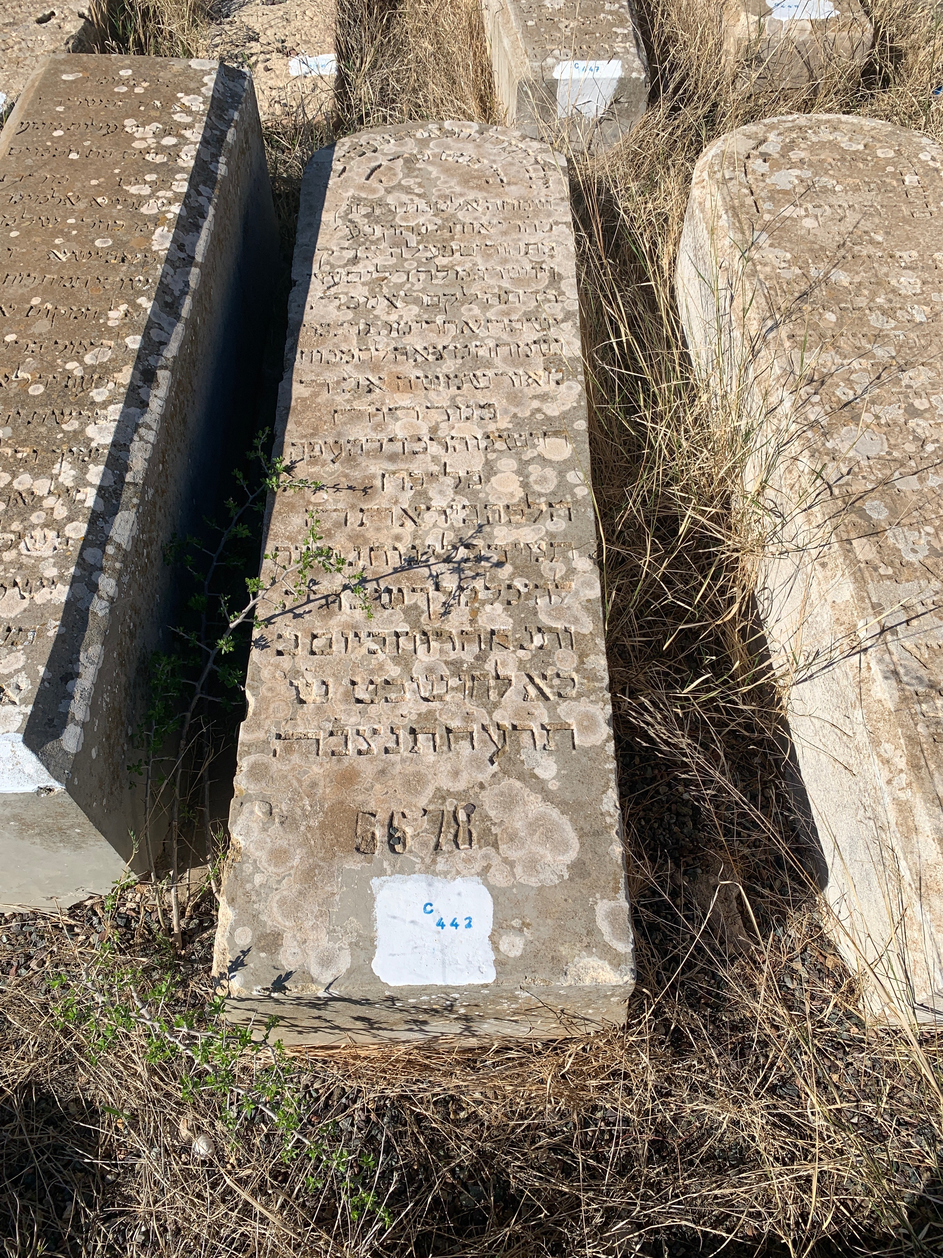 Grabstein von Nahon Simha