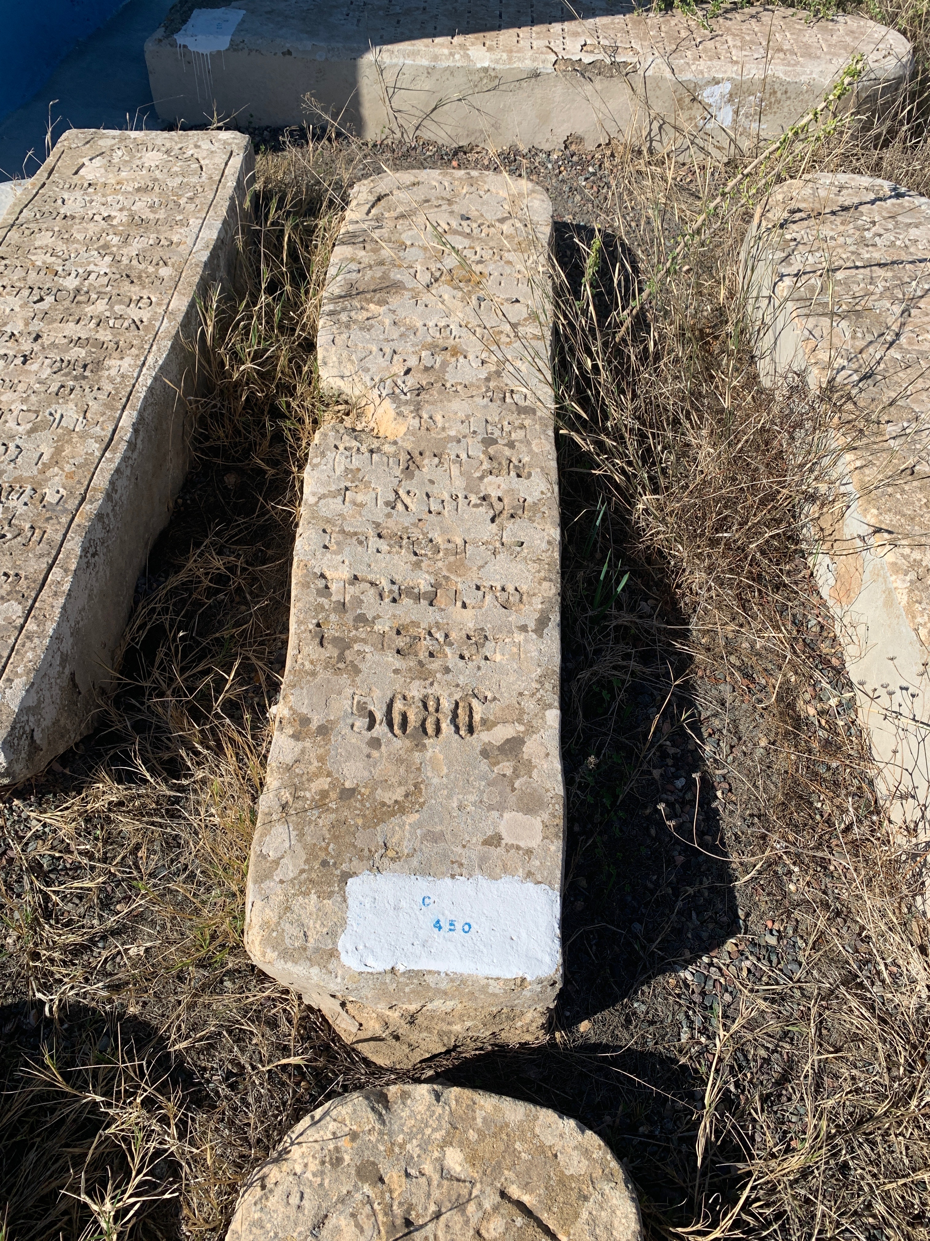 Ohayon Sultana fejfája