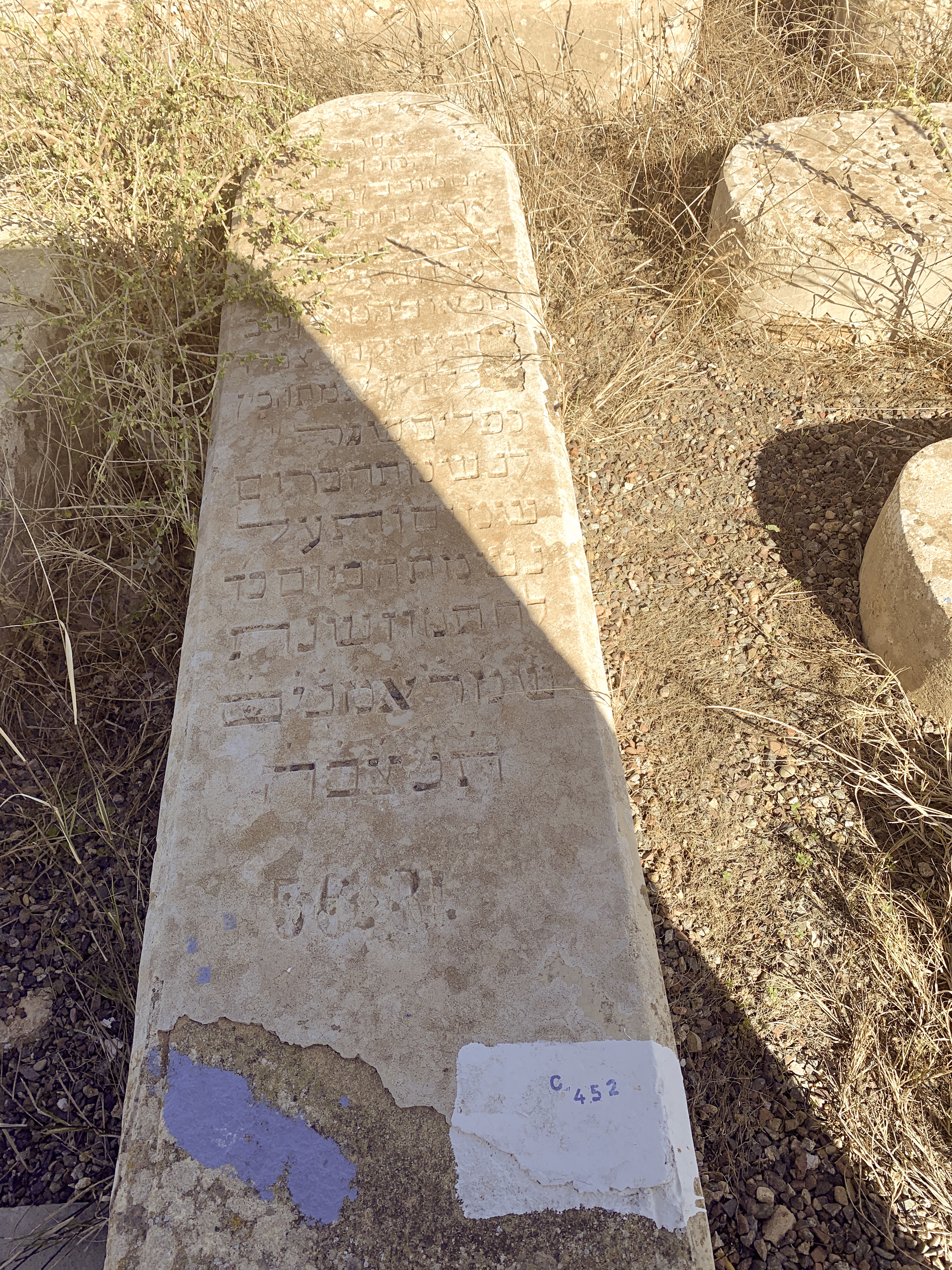 מַצֵּבה פון Habib Madelene