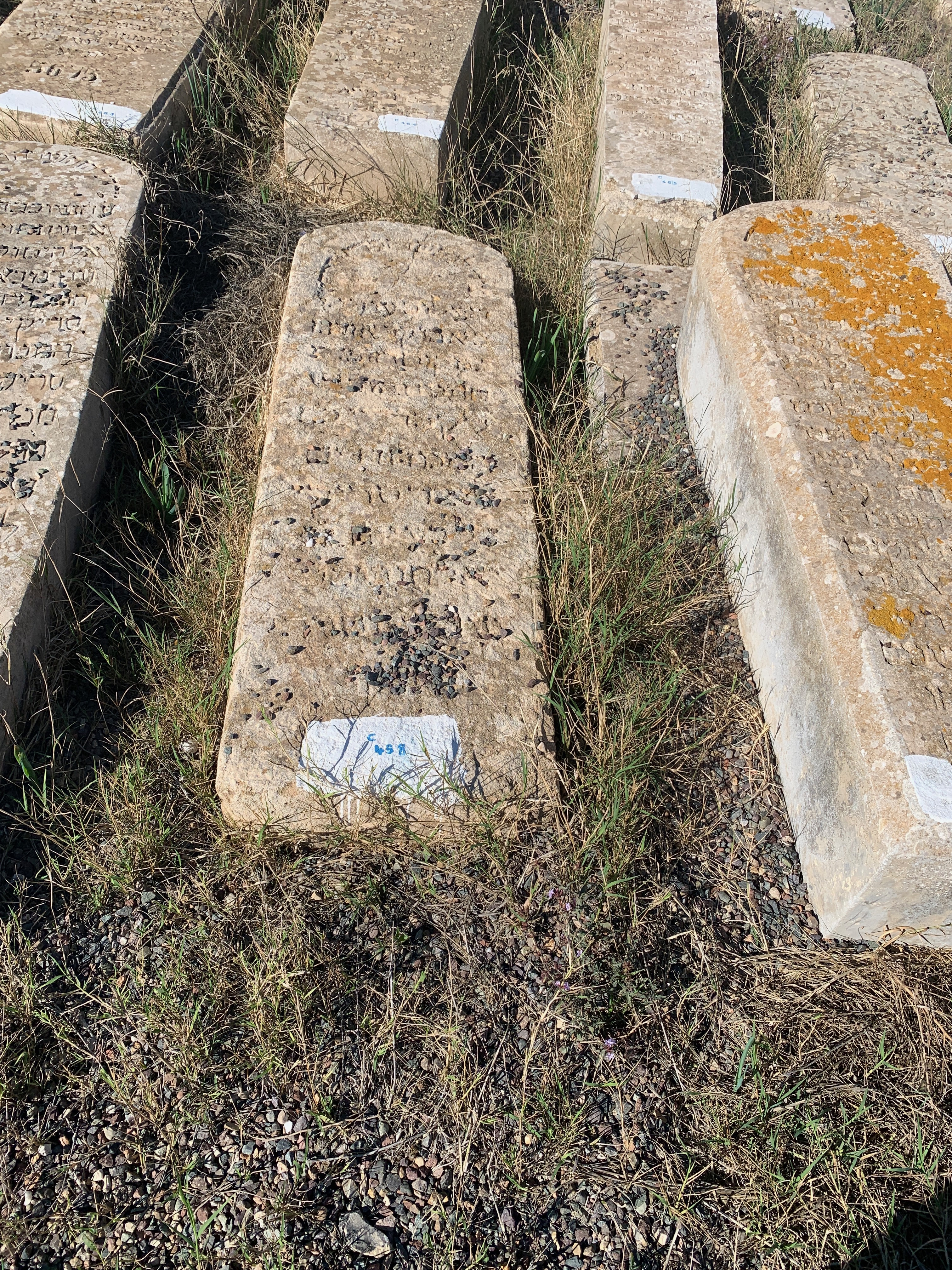 Stèle de Hatchouel Elkayim