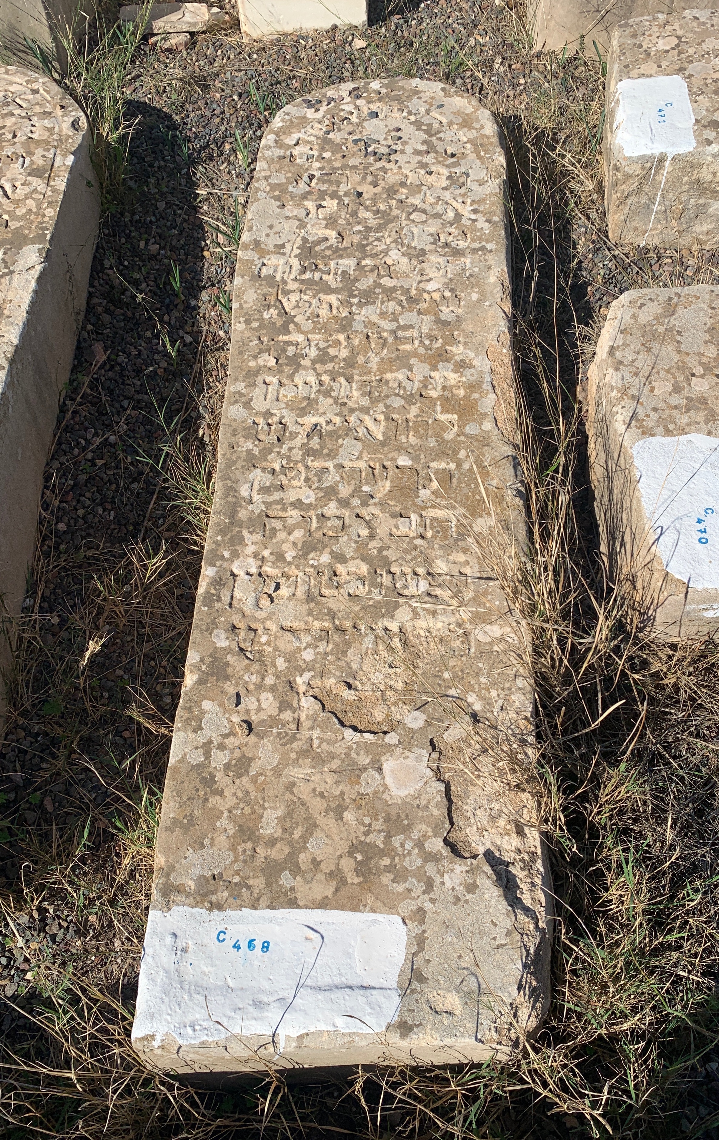 شاهدة قبر Aflalo Shlomo