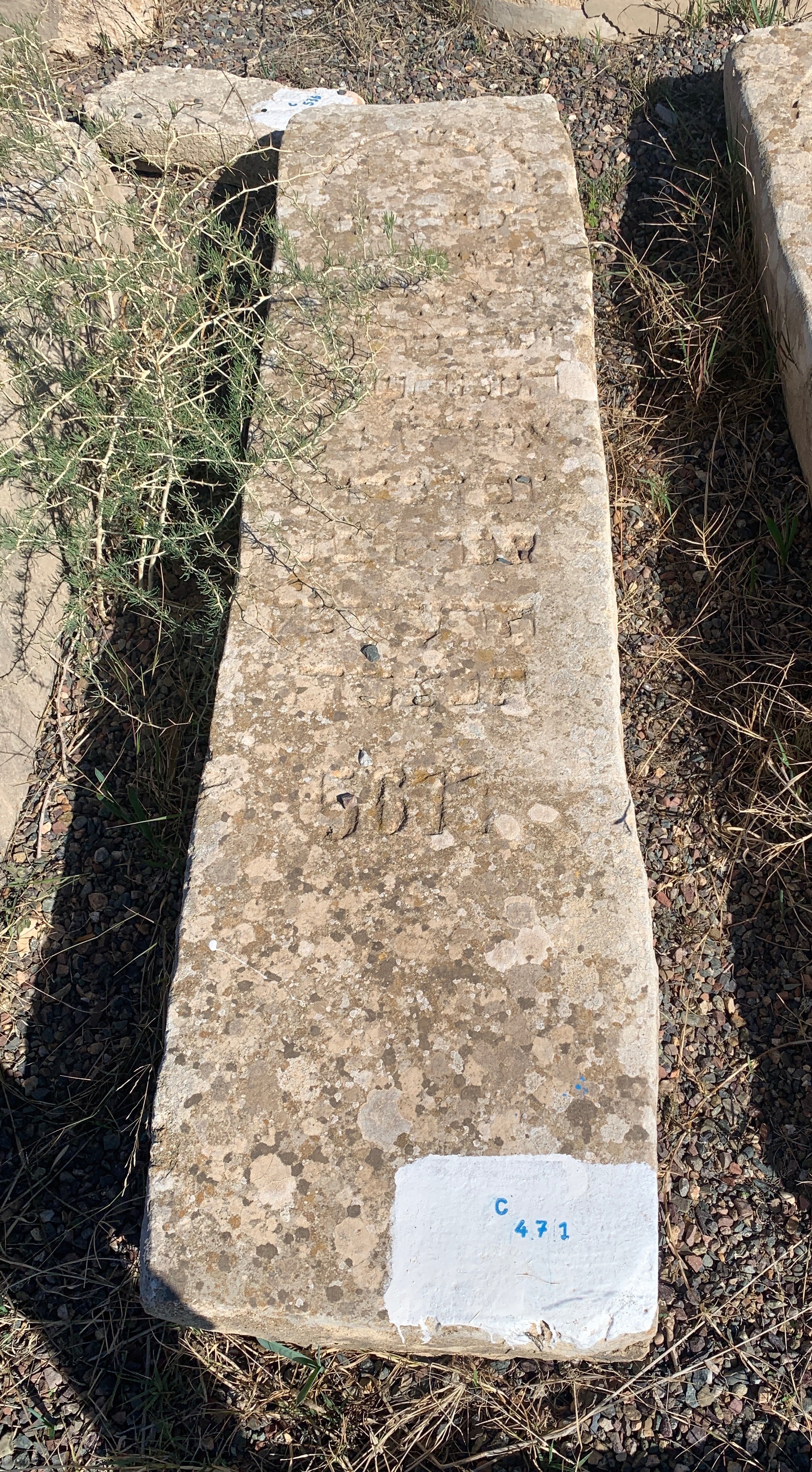 מצבת Amzallag Shalom