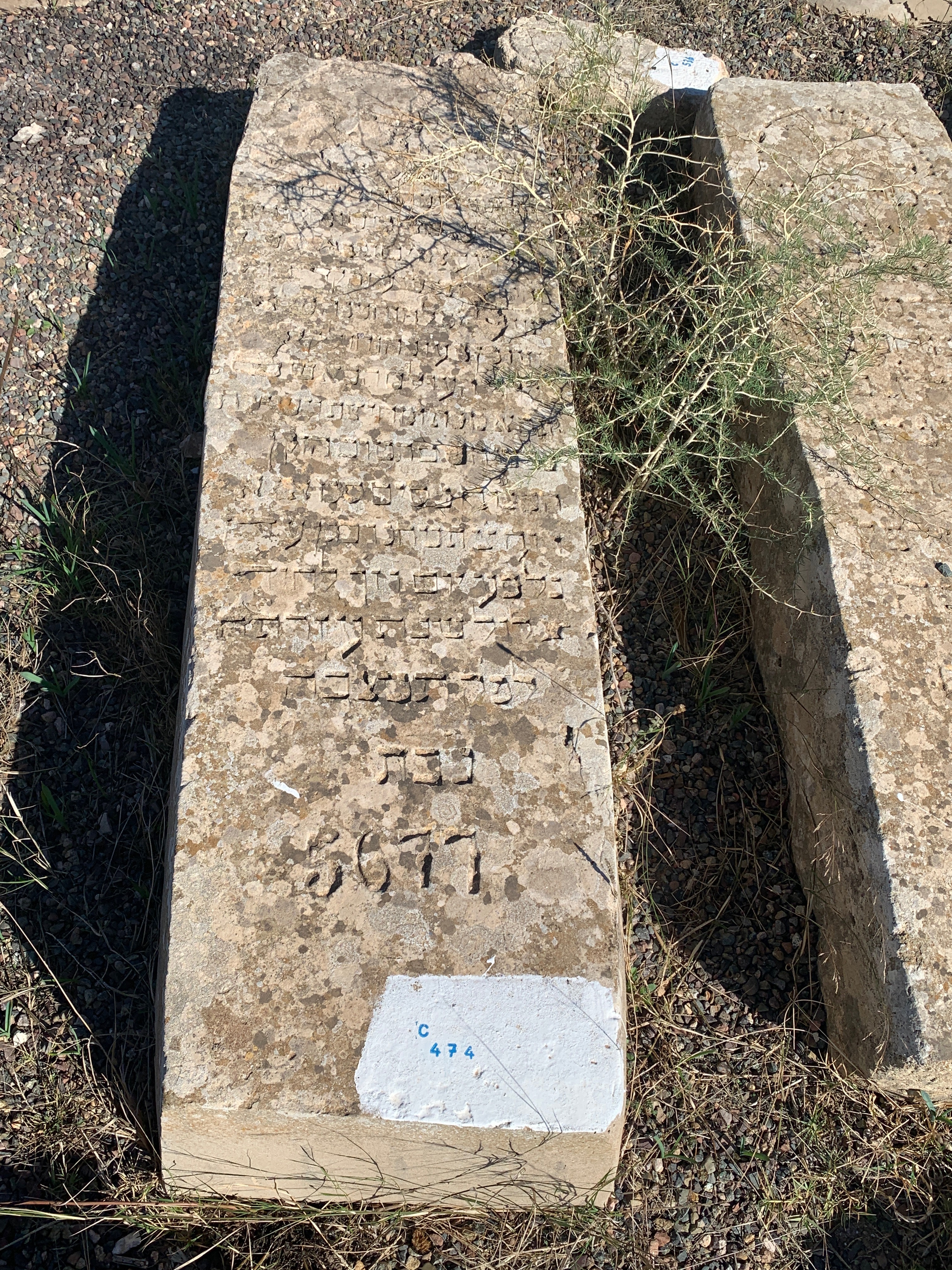 شاهدة قبر Smadja Nissim