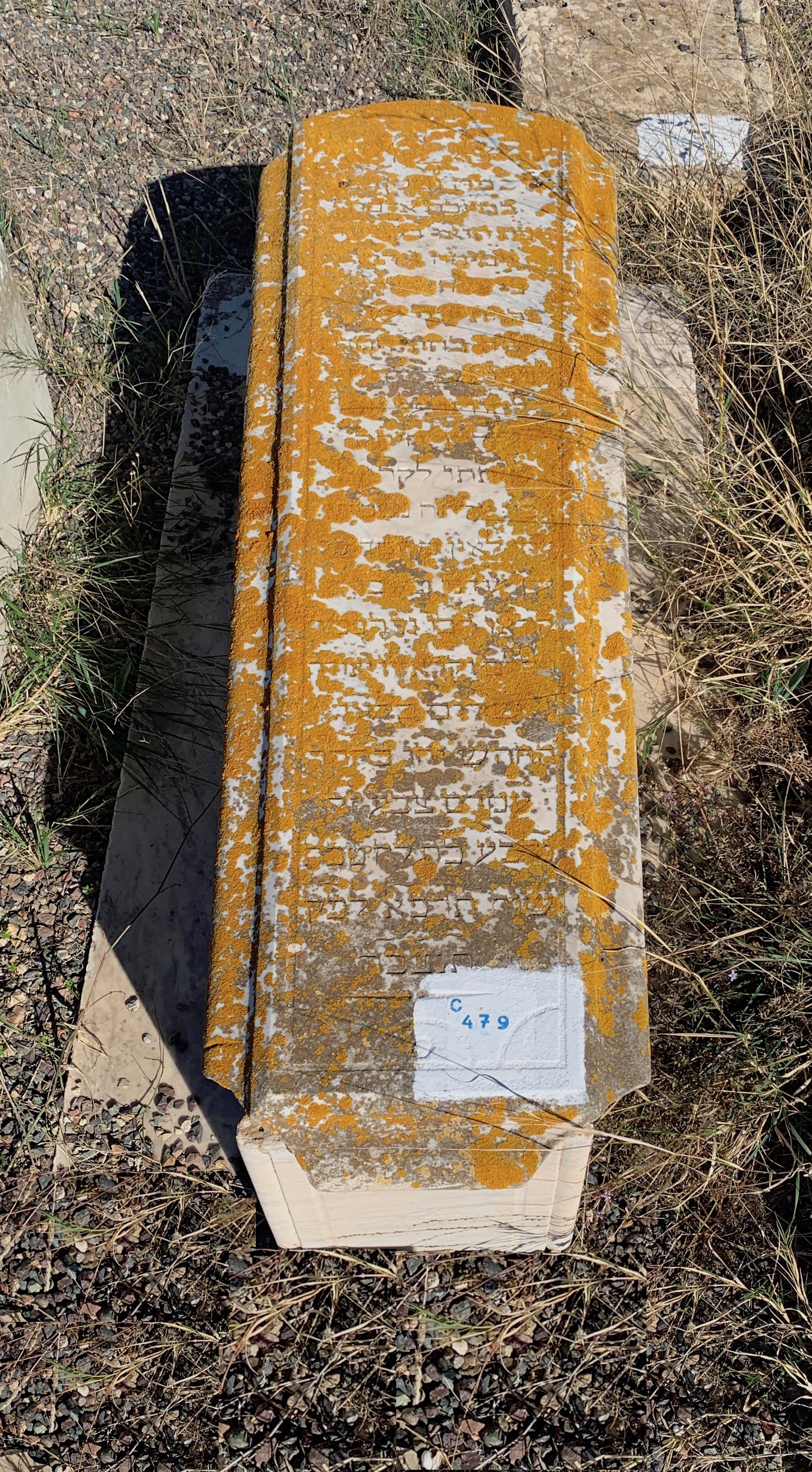 Grafsteen van Sabah Amram