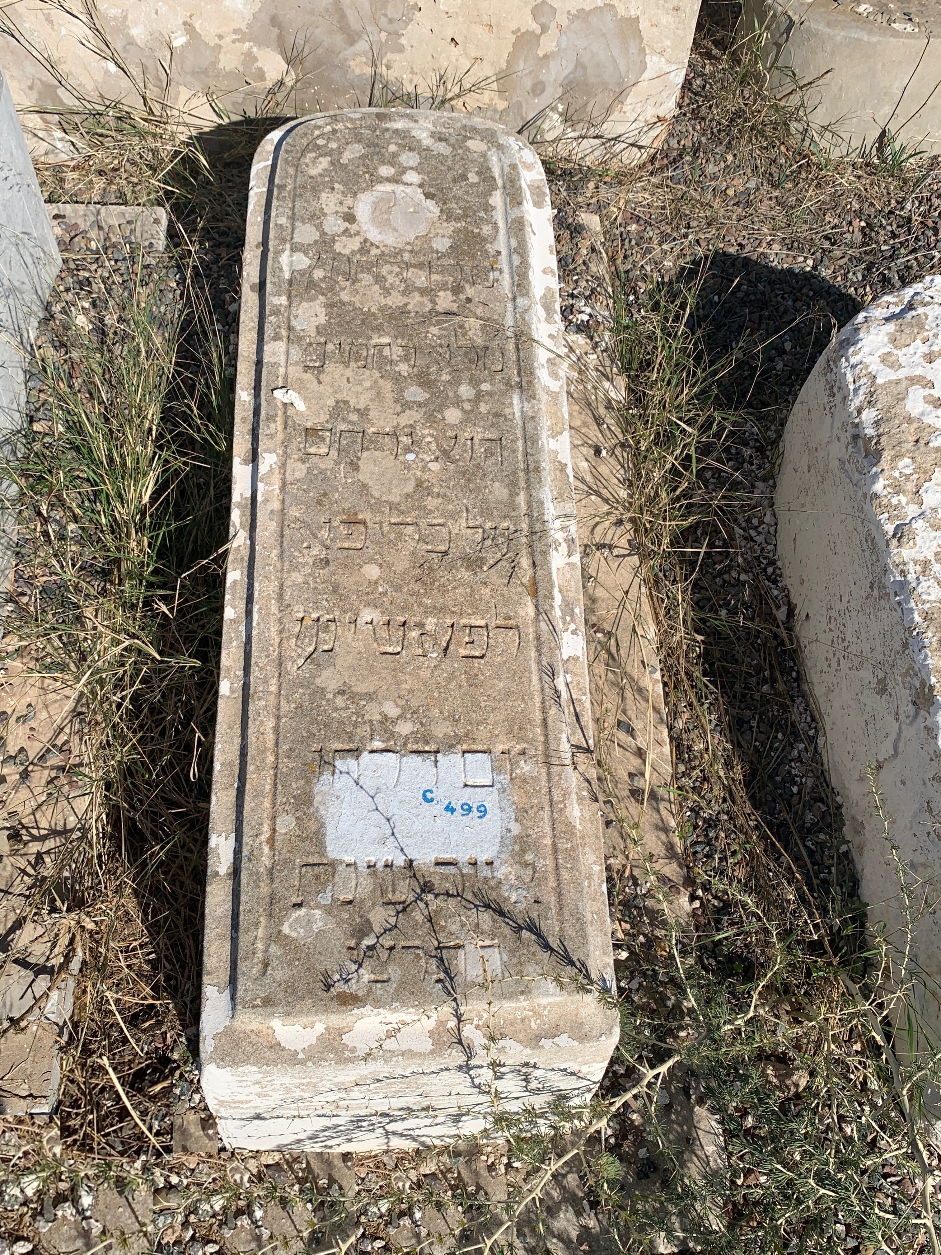 Stèle de Elfassi Kalifa
