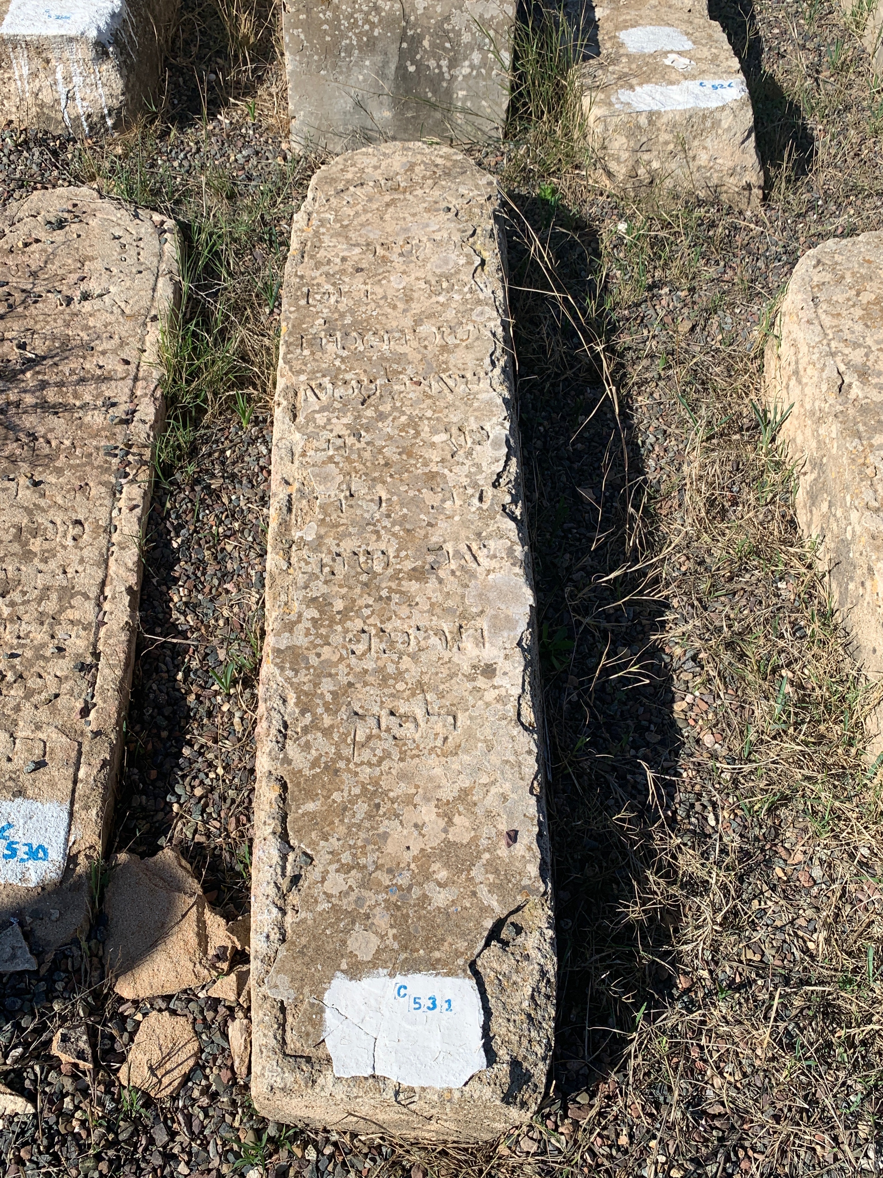 Tombstone of Amar Shaul