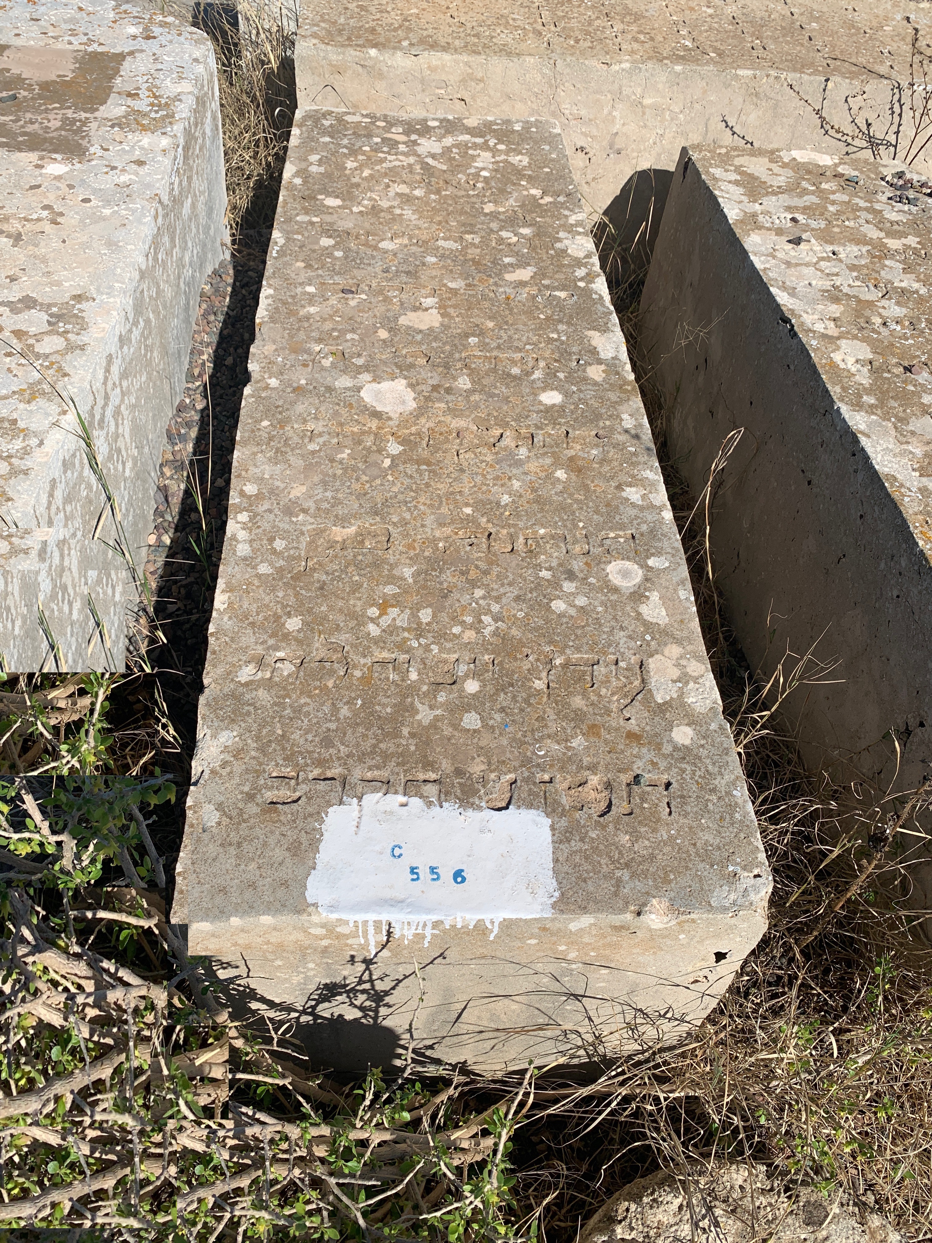 מצבת Meloul Moshe