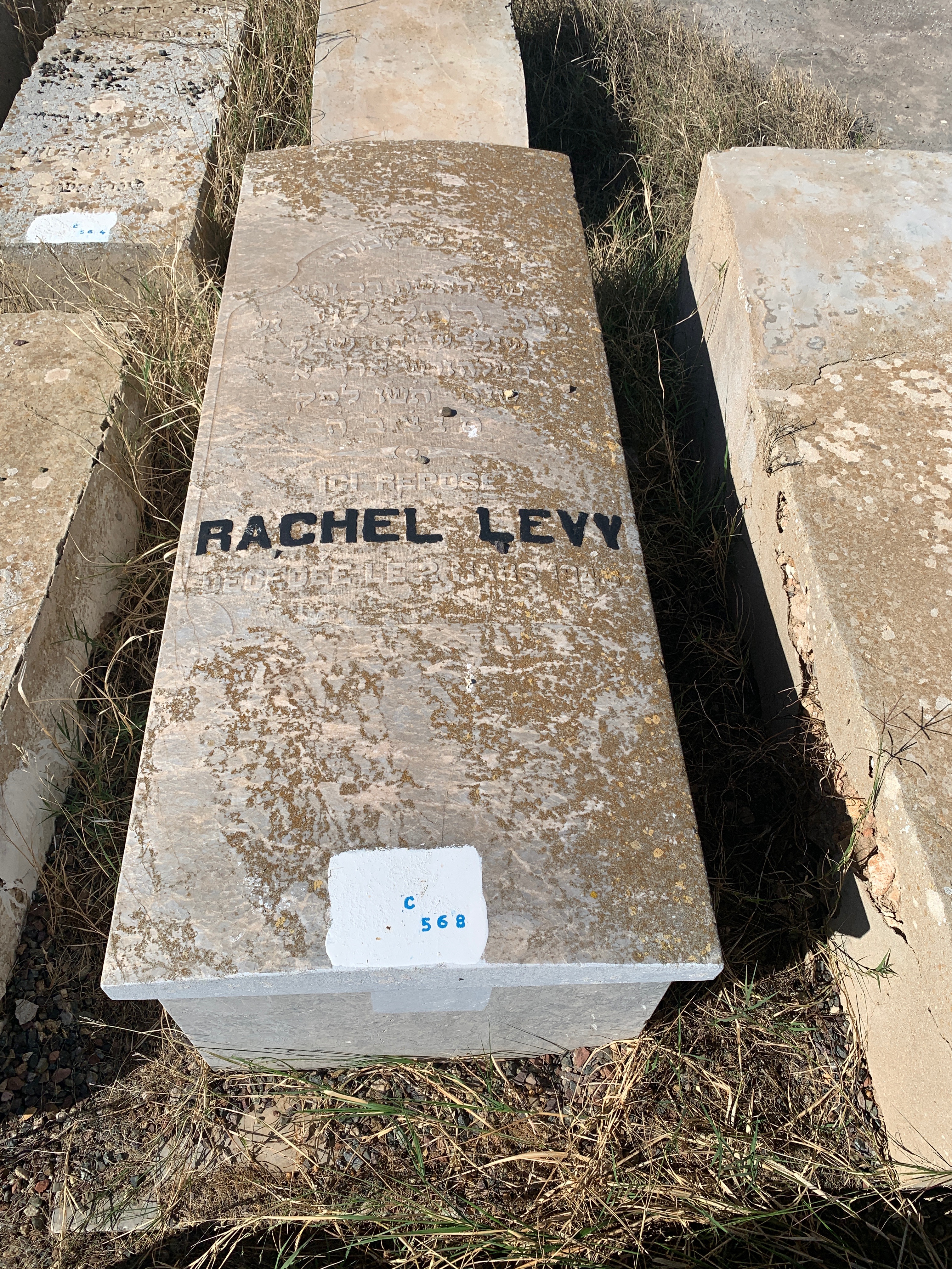 Grabstein von Lévy Rachel