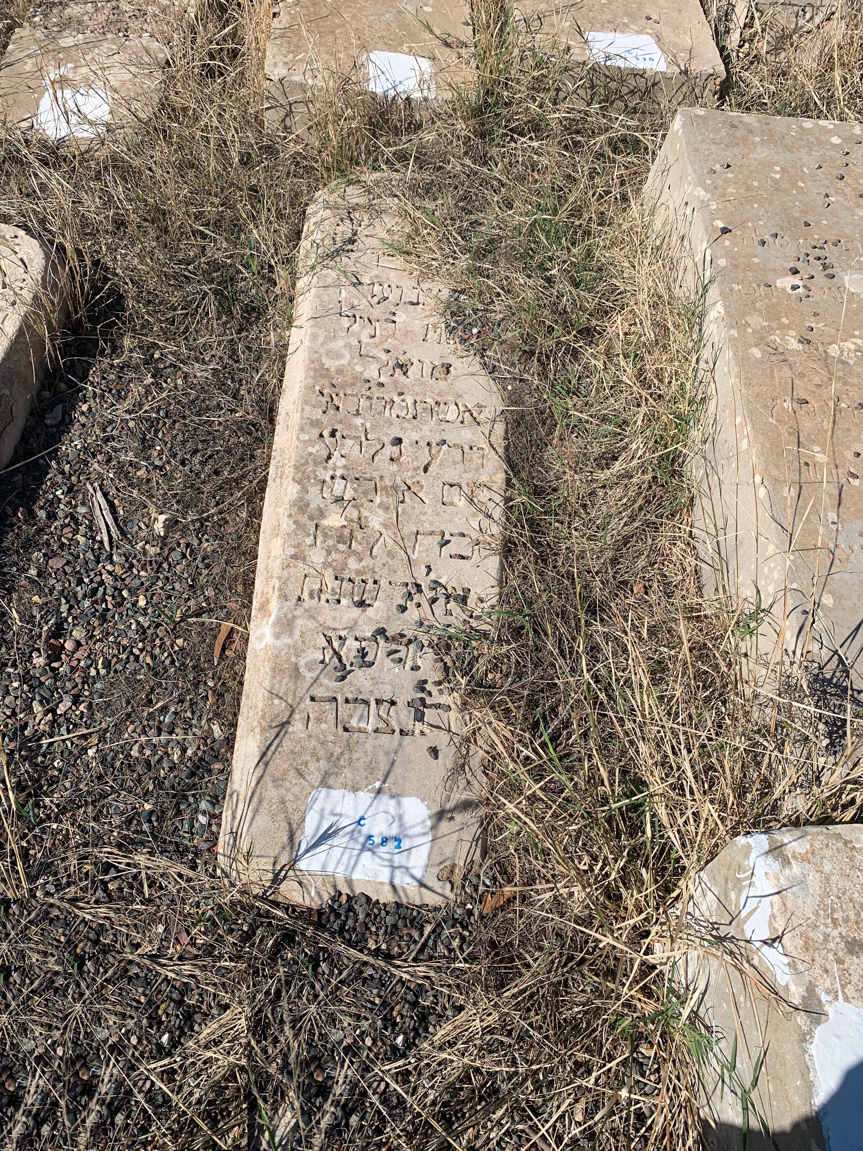 מצבת Edery Mazal