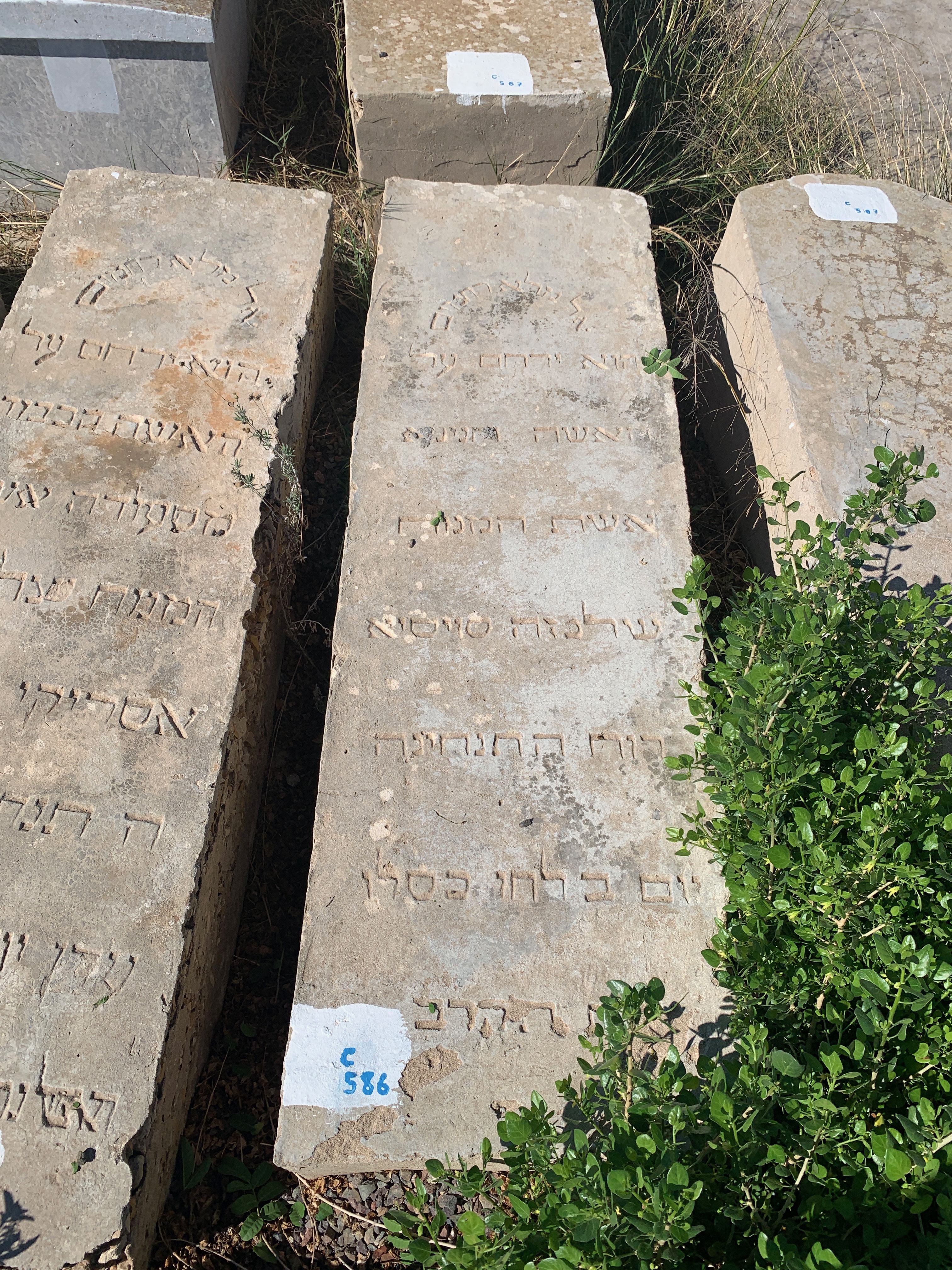 מַצֵּבה פון Suissa Hnina