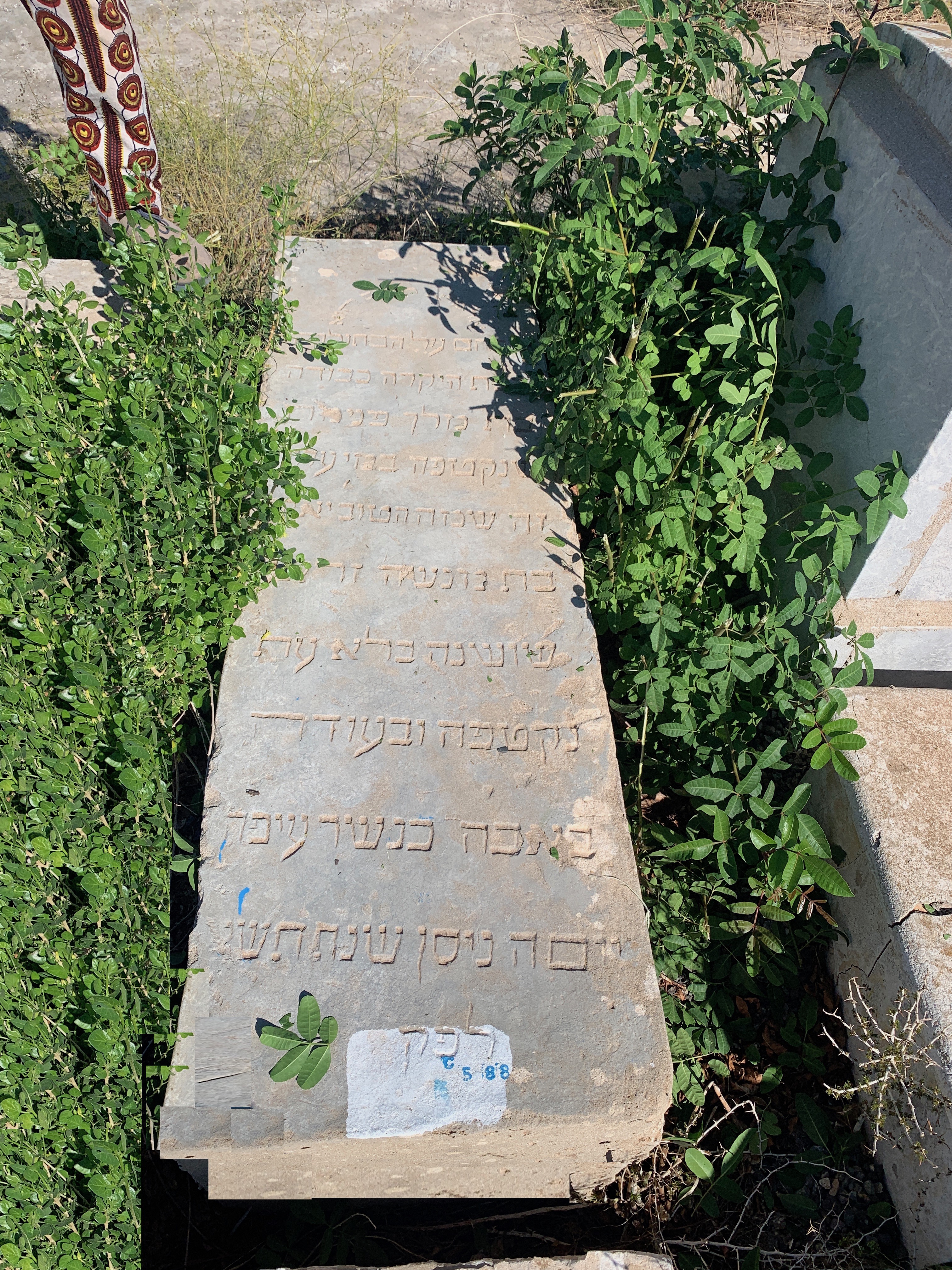 מַצֵּבה פון Zrihen Yakout
