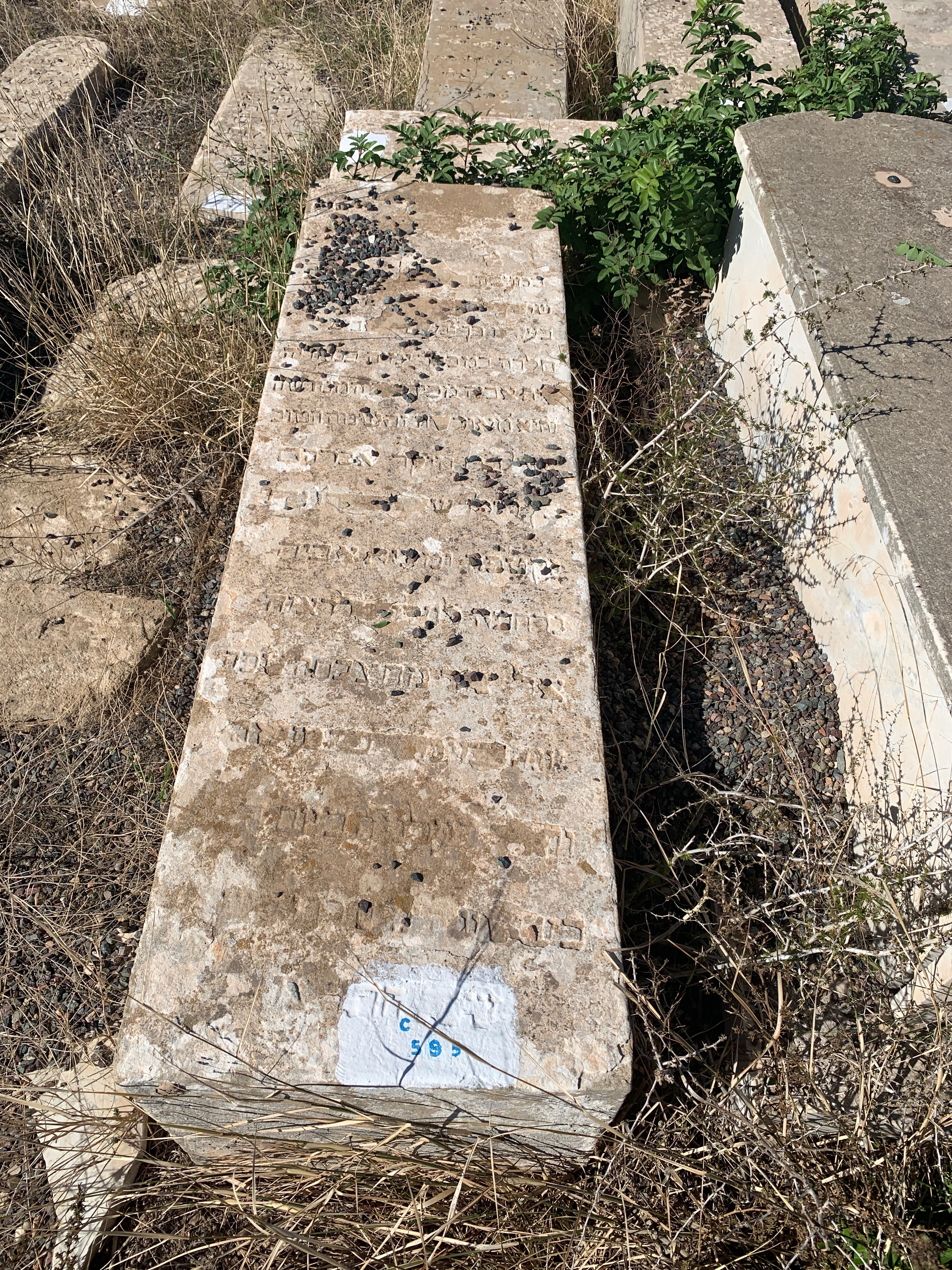 Tombstone of Benlolo Murcia