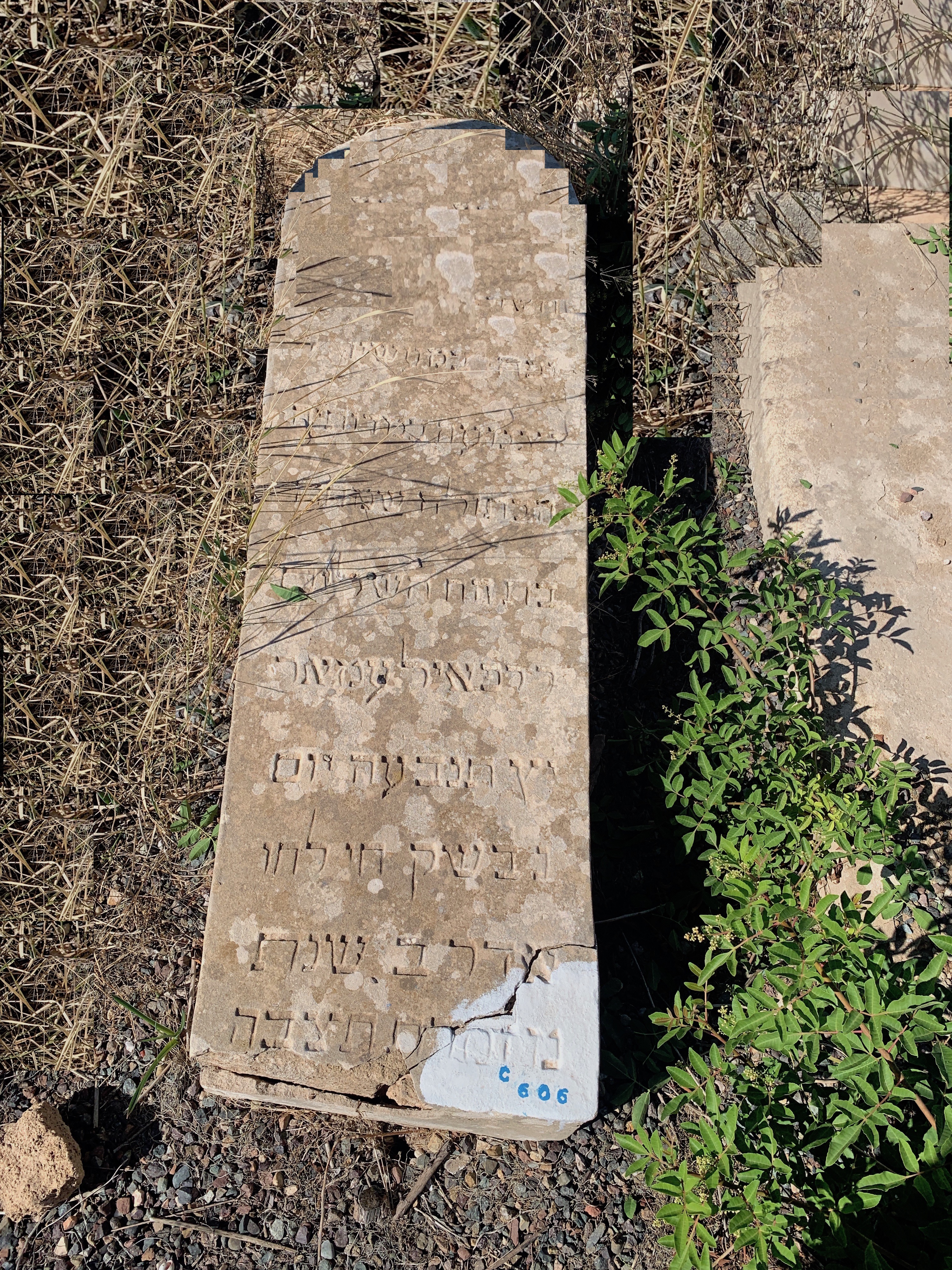 מַצֵּבה פון Amar Simha
