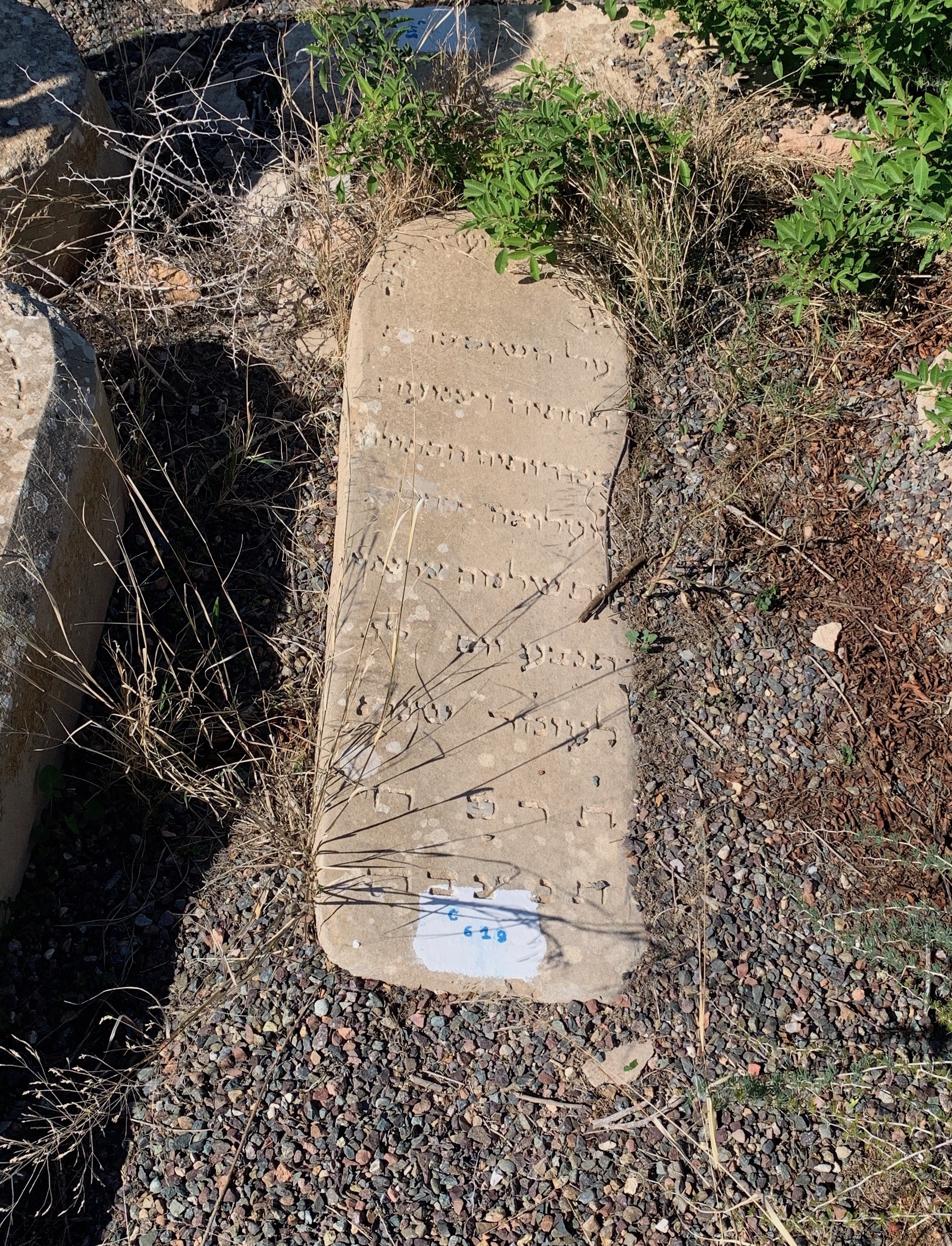 Tombstone of Assaraf Rachel