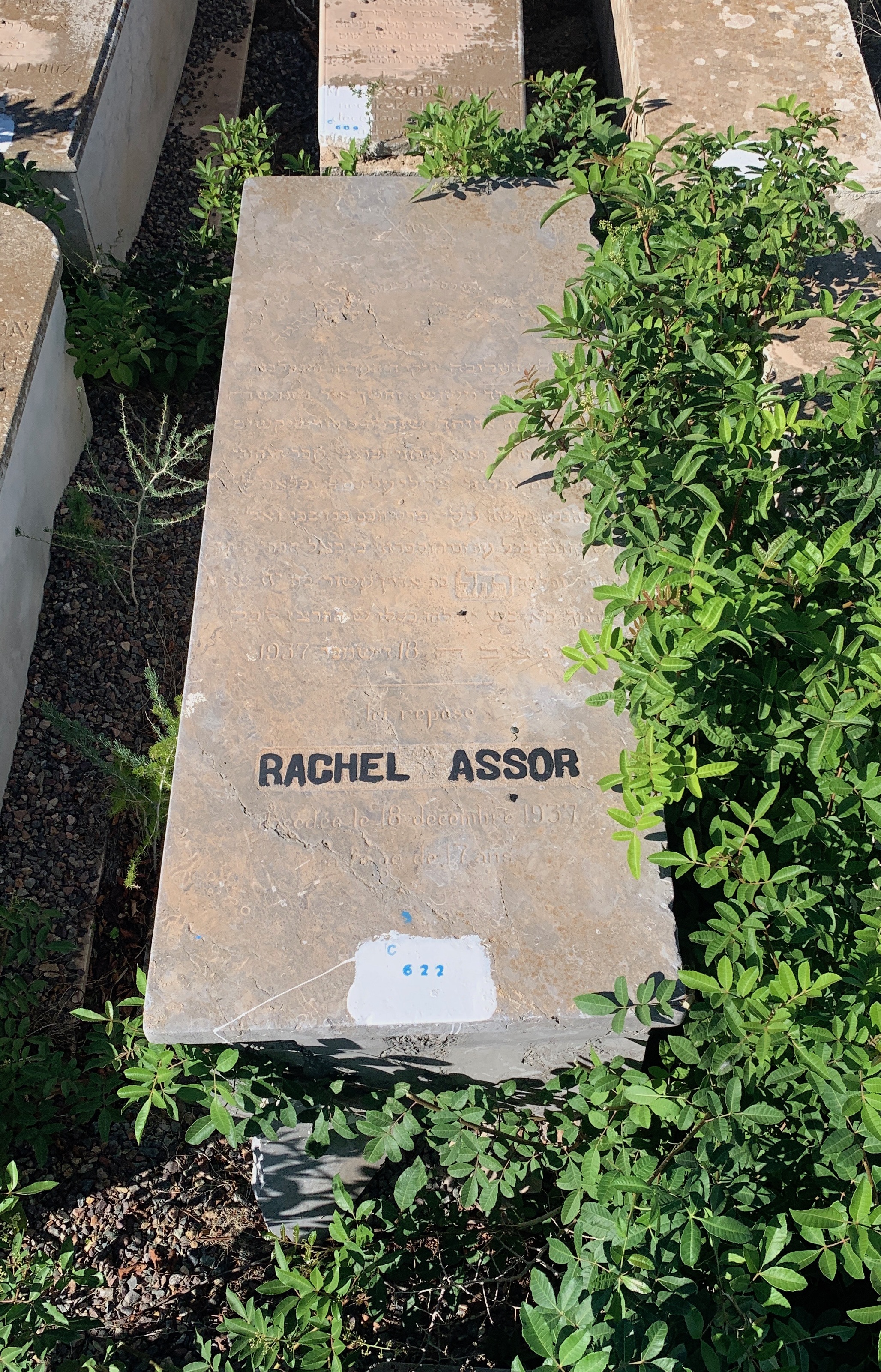 شاهدة قبر Assor Rachel