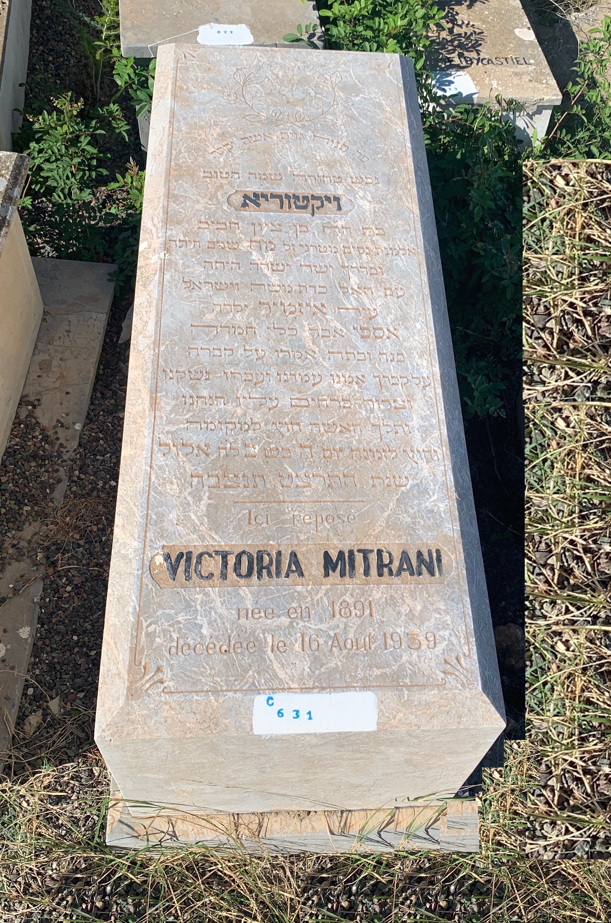 Grabstein von Mitrani Victoria