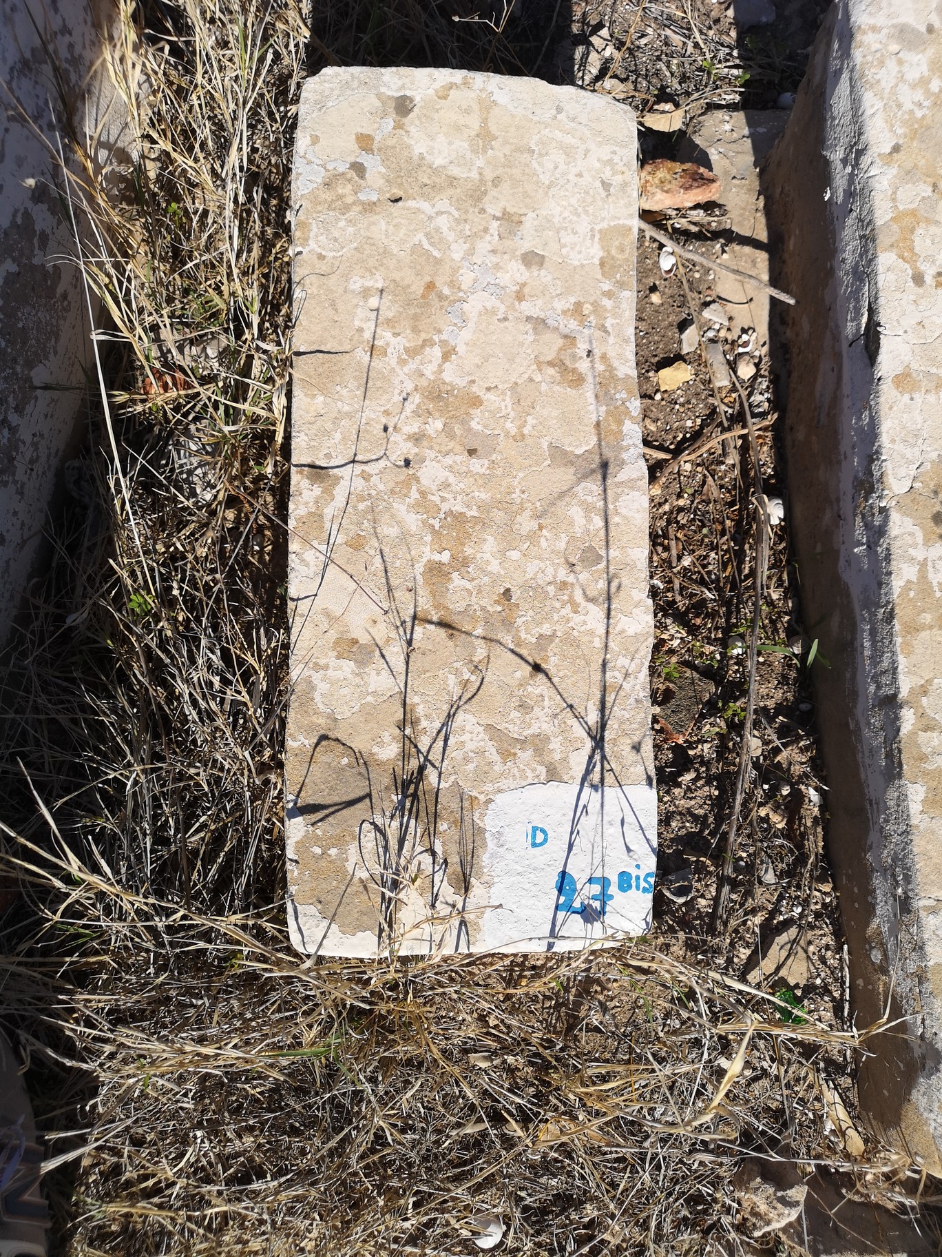 Tombstone of Allouche Diana