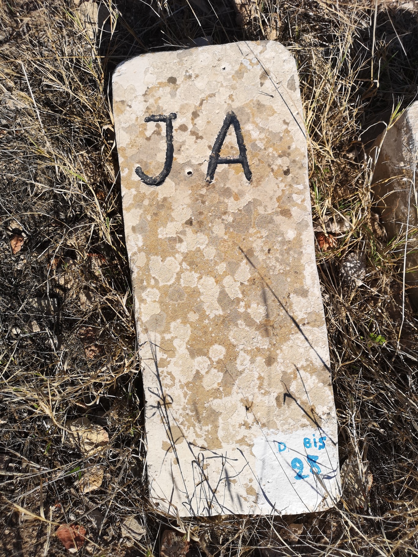 Stèle de Cohen Yaffa