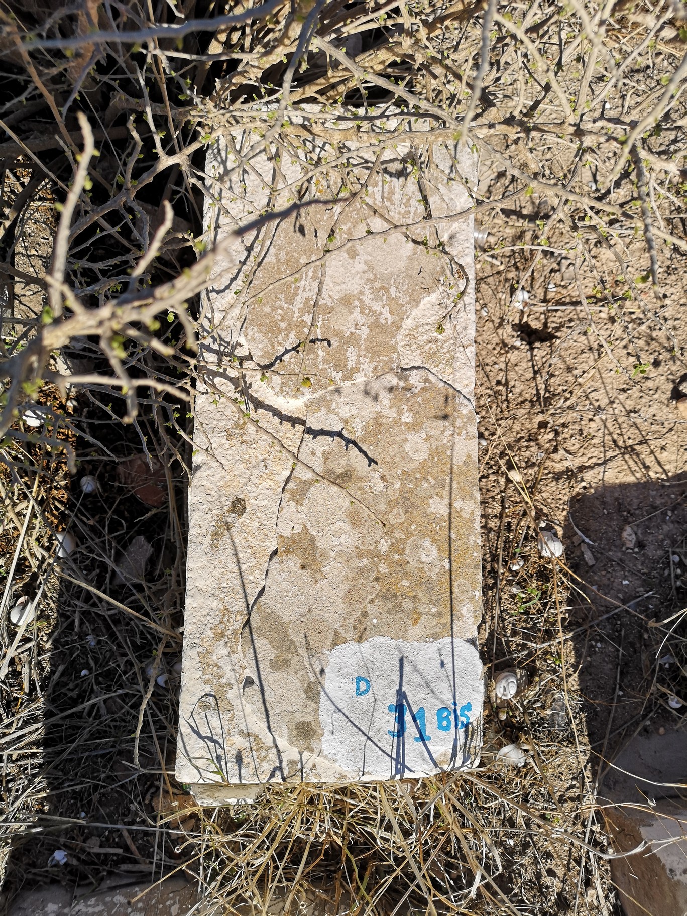 מַצֵּבה פון Dahan Maurice