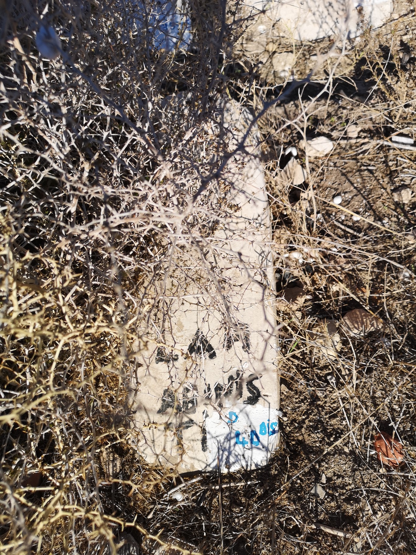 Grabstein von Benchimol Moshé
