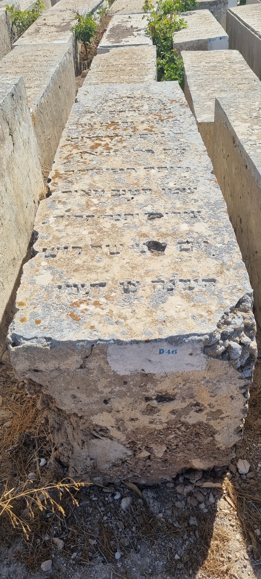 Tombstone of Chriqui Meir