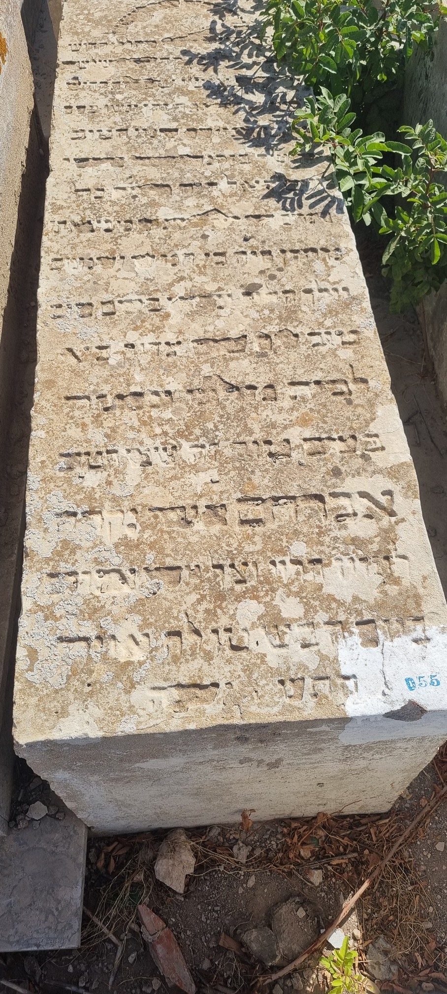 Assor Halevy Avraham fejfája