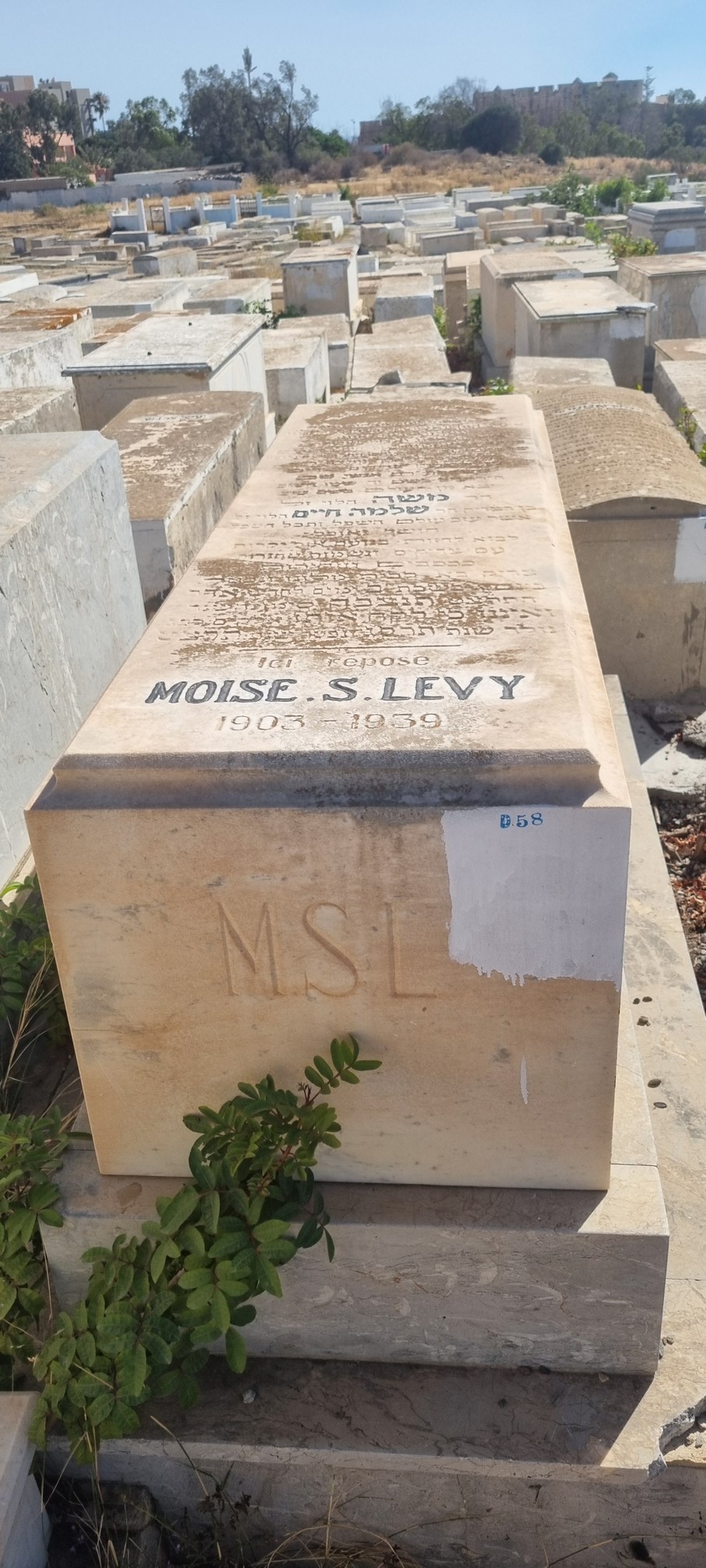 מַצֵּבה פון Lévy Moïse S.