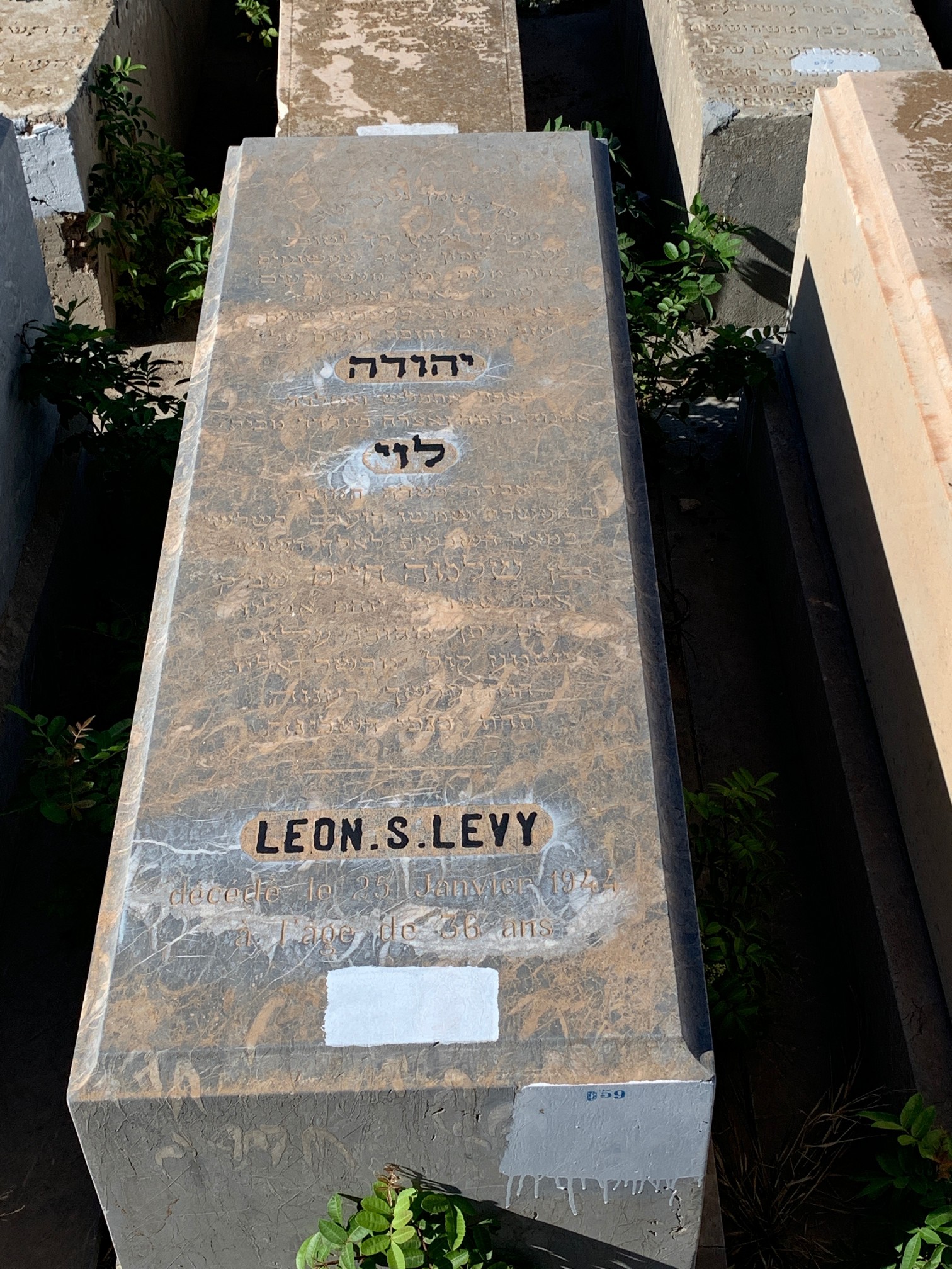شاهدة قبر Lévy Léon