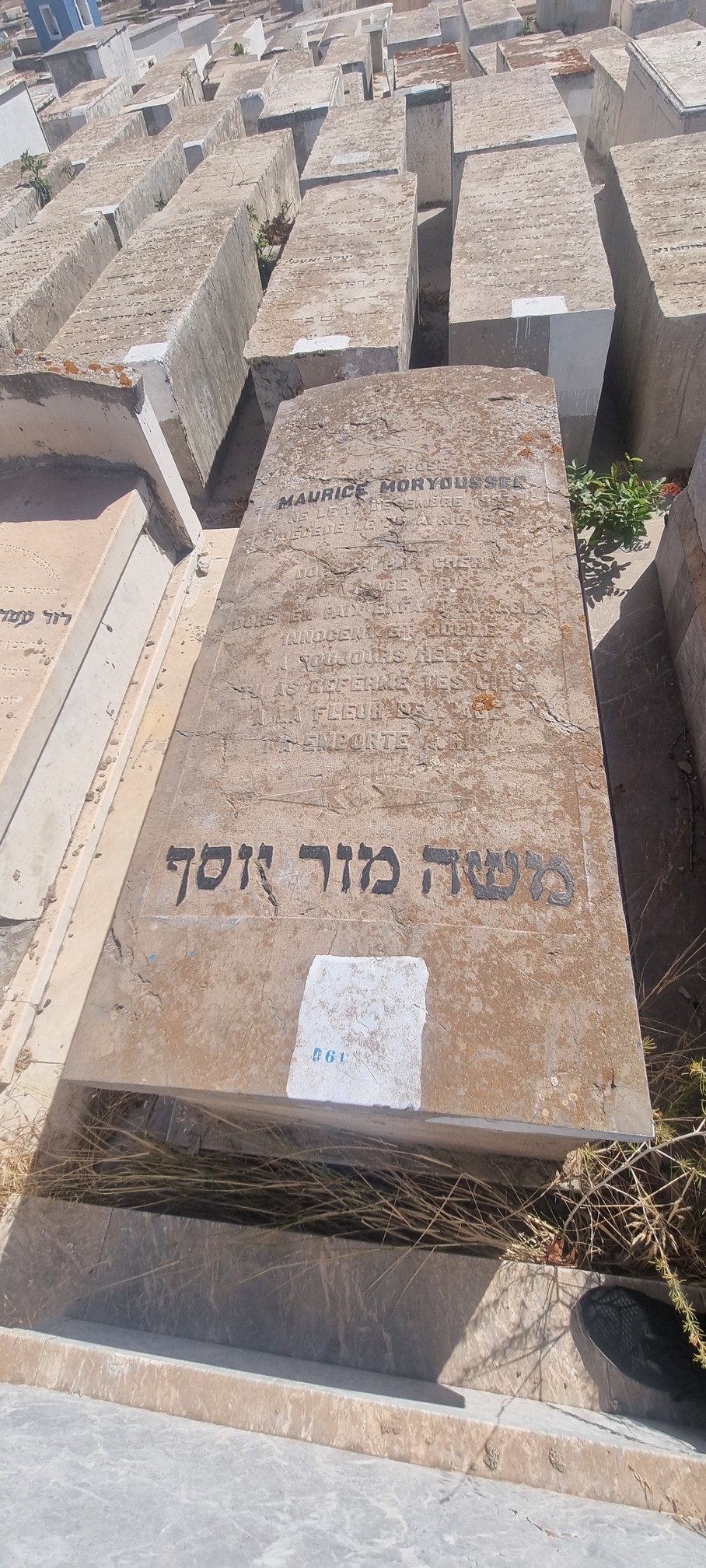 Tombstone of Moryoussef Maurice