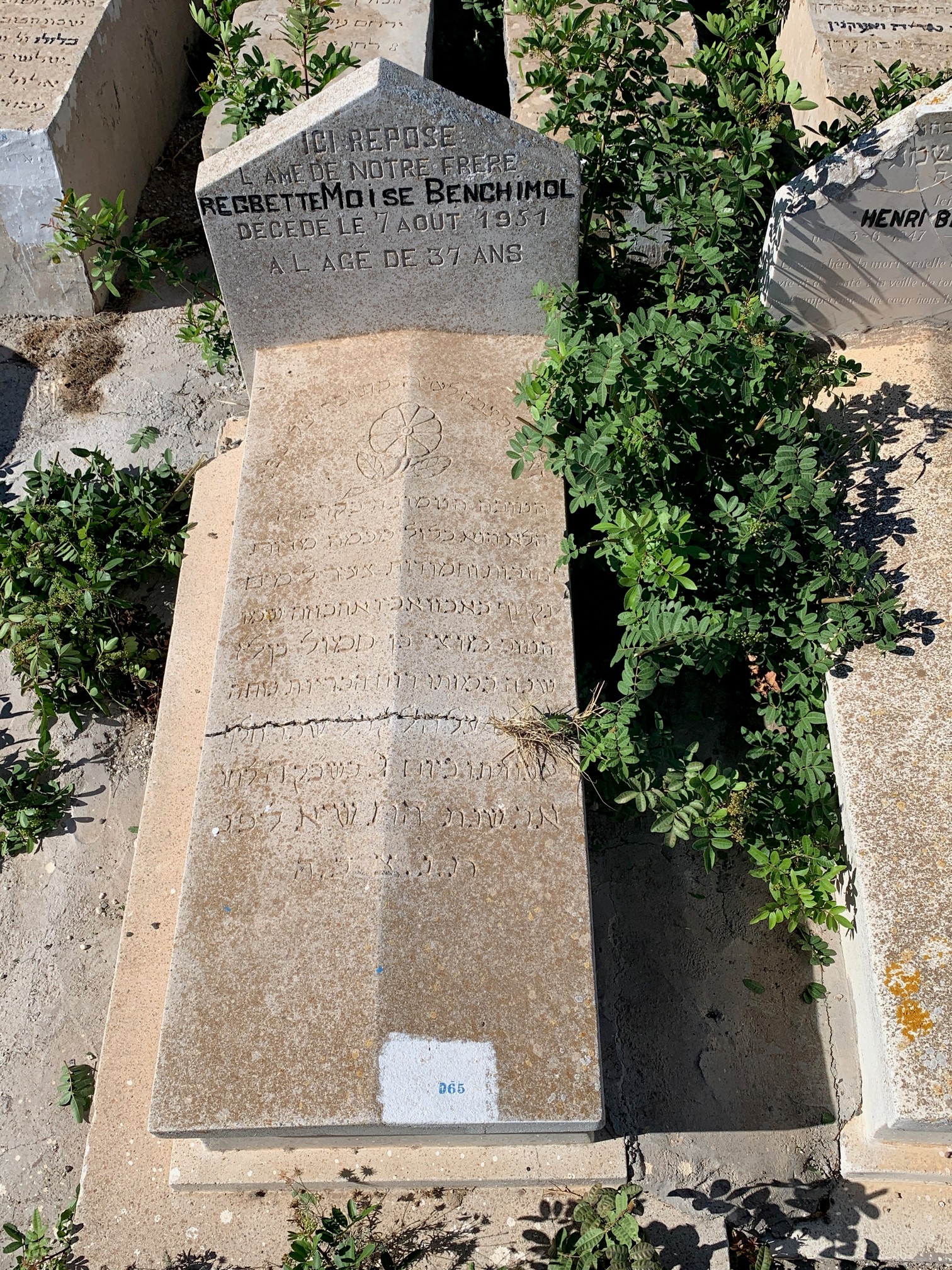 Stèle de Benchimol Moïse