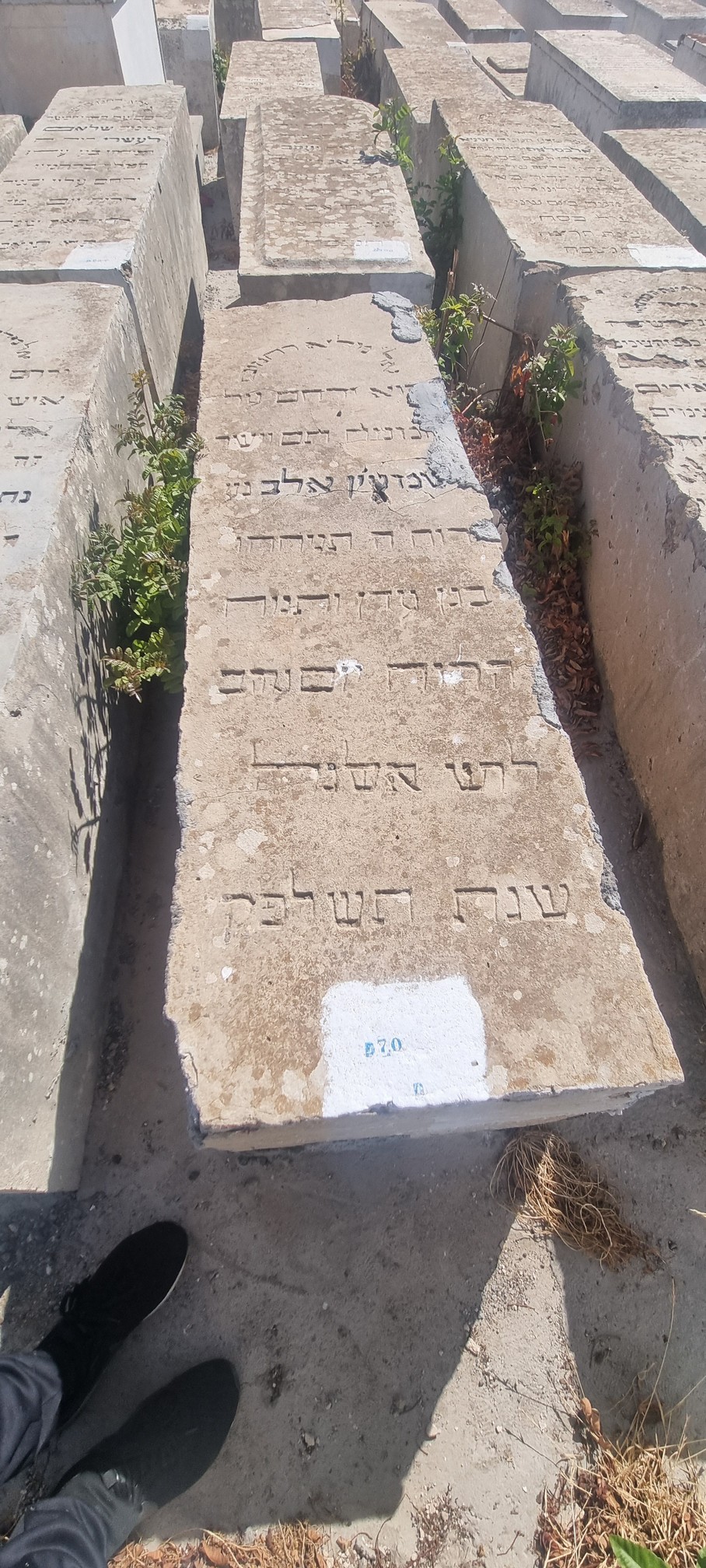 Eleb Shlomo का स्मारक