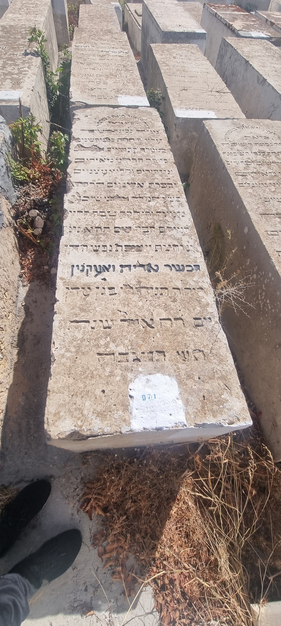 Stèle de Oiknine Arieh