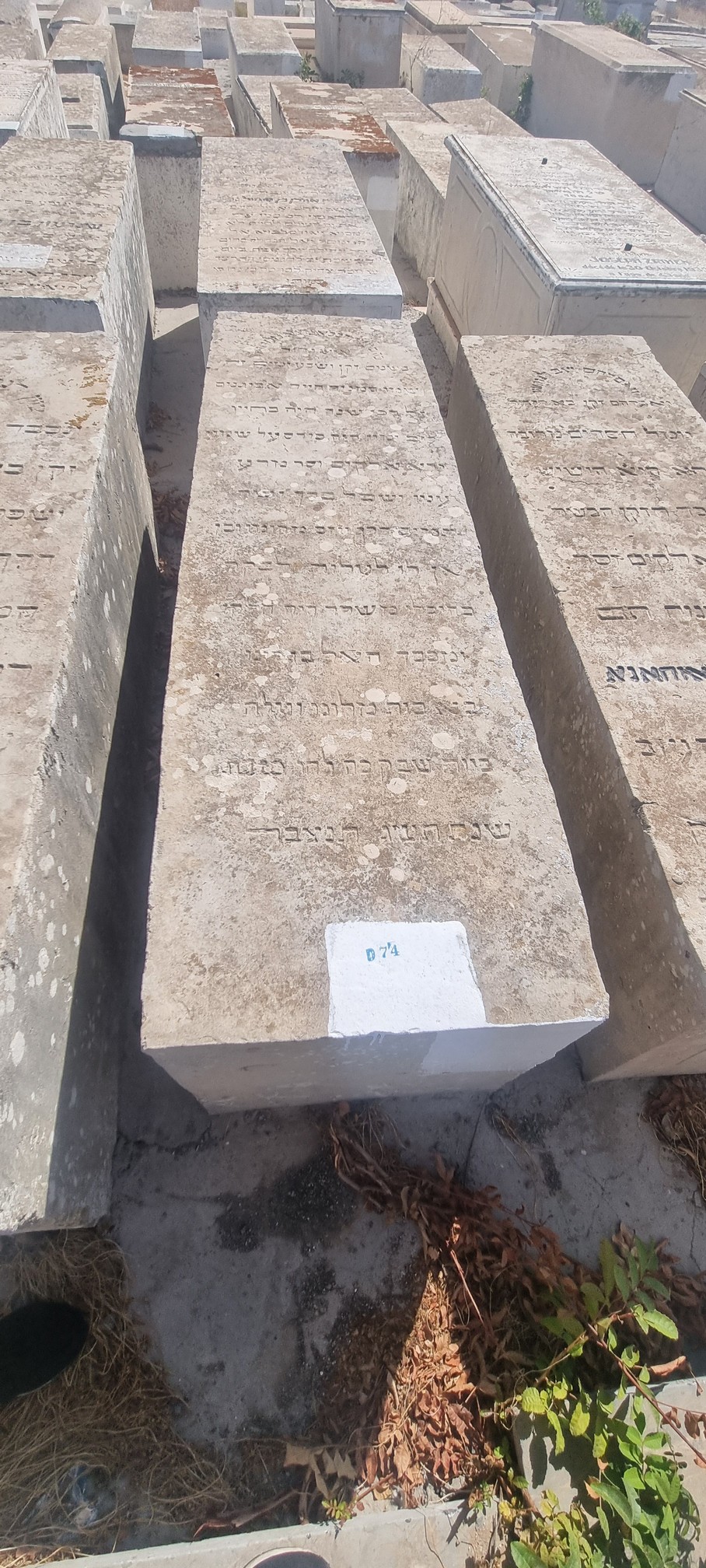 Stèle de Elbaz Shimon