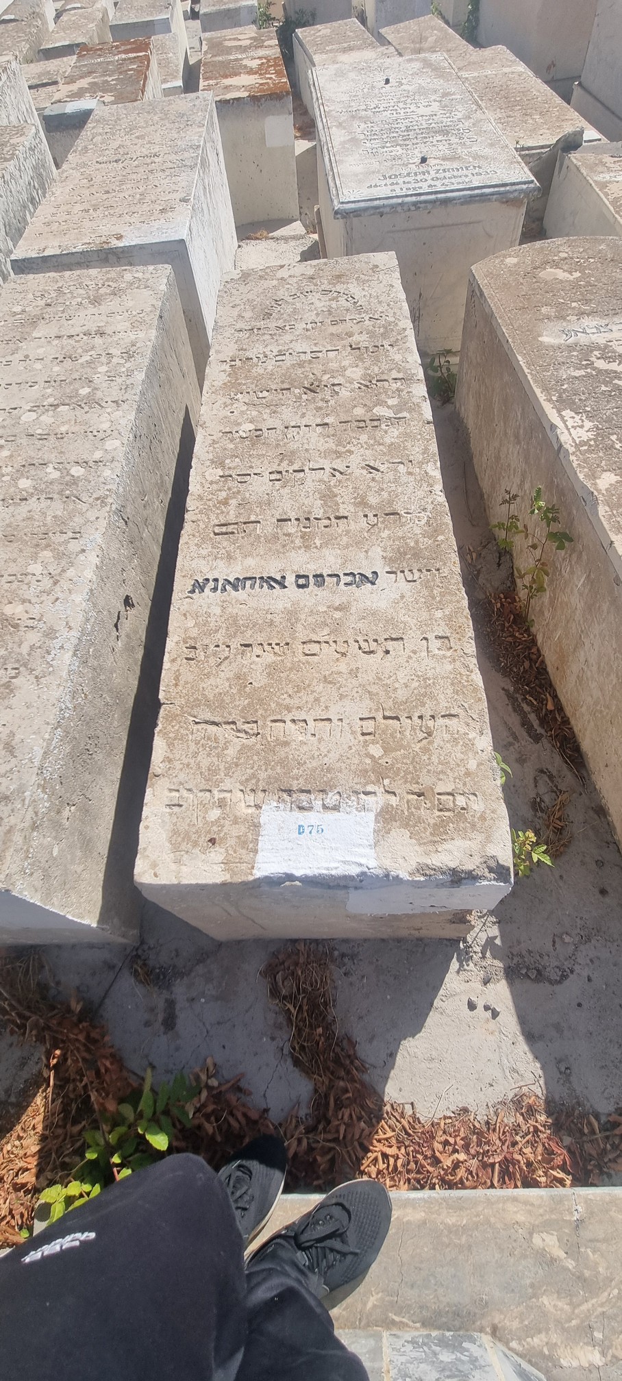 מַצֵּבה פון Ohana Abraham