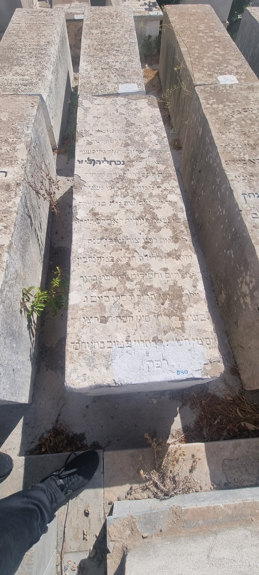 מצבת Abikhzer Naphtali