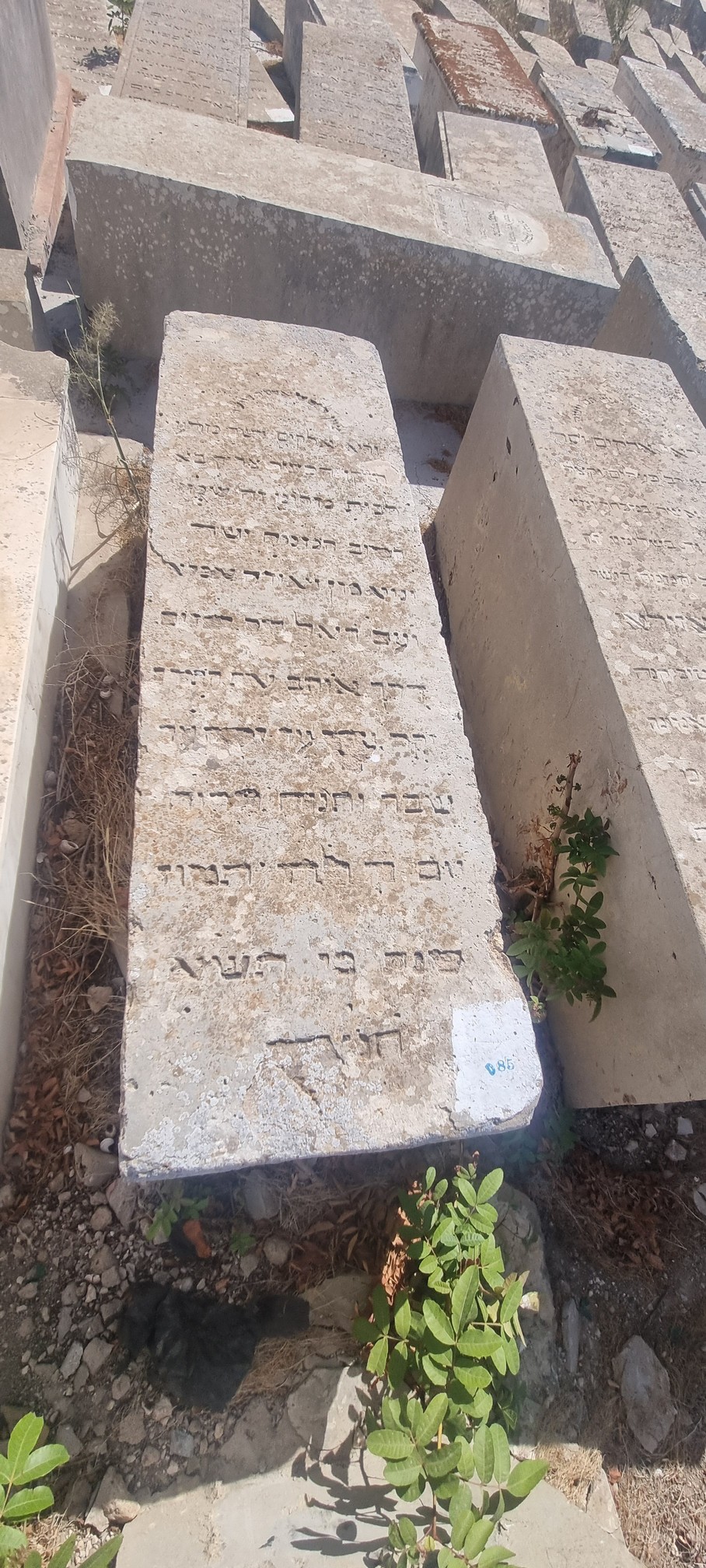 Lápide de Asli Yehouda