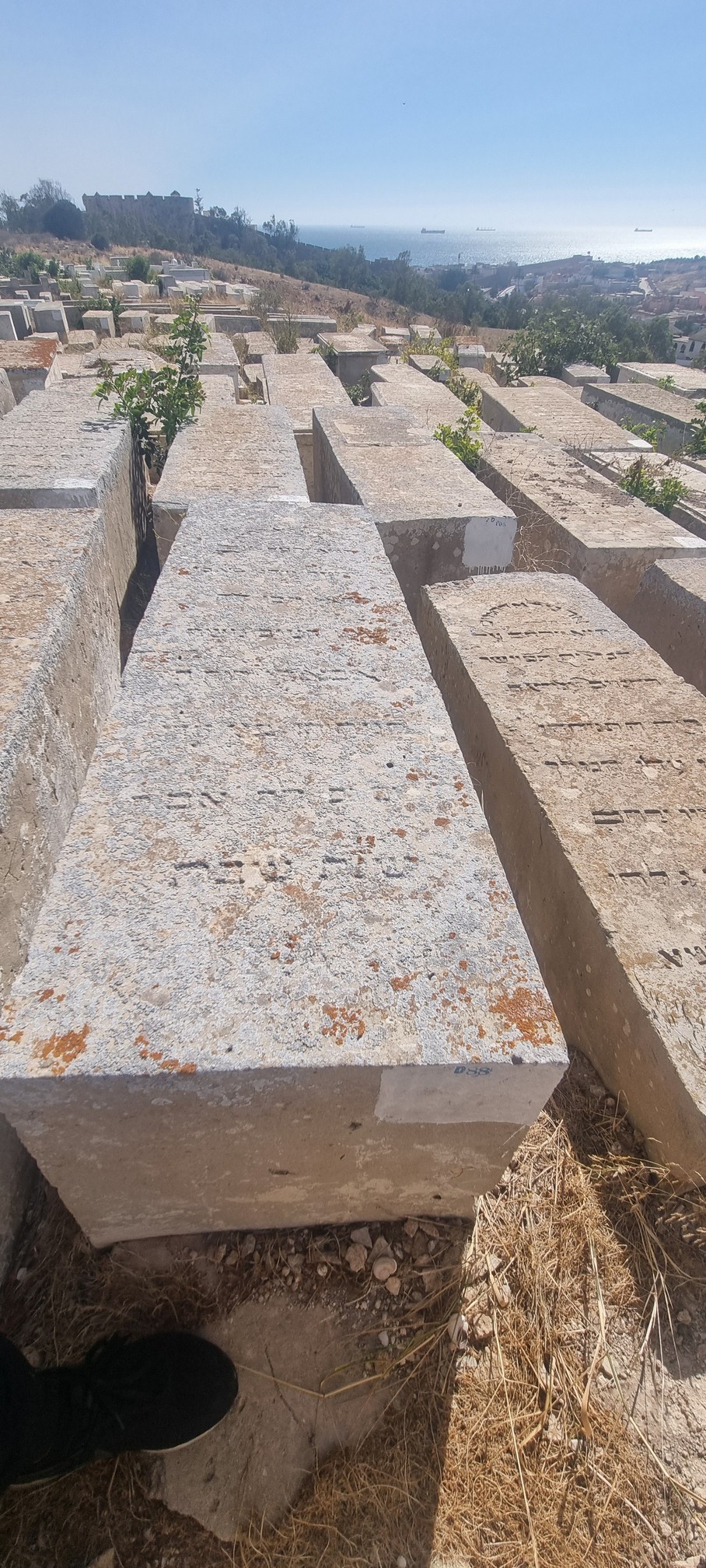 Grabstein von Tobaly Moshe