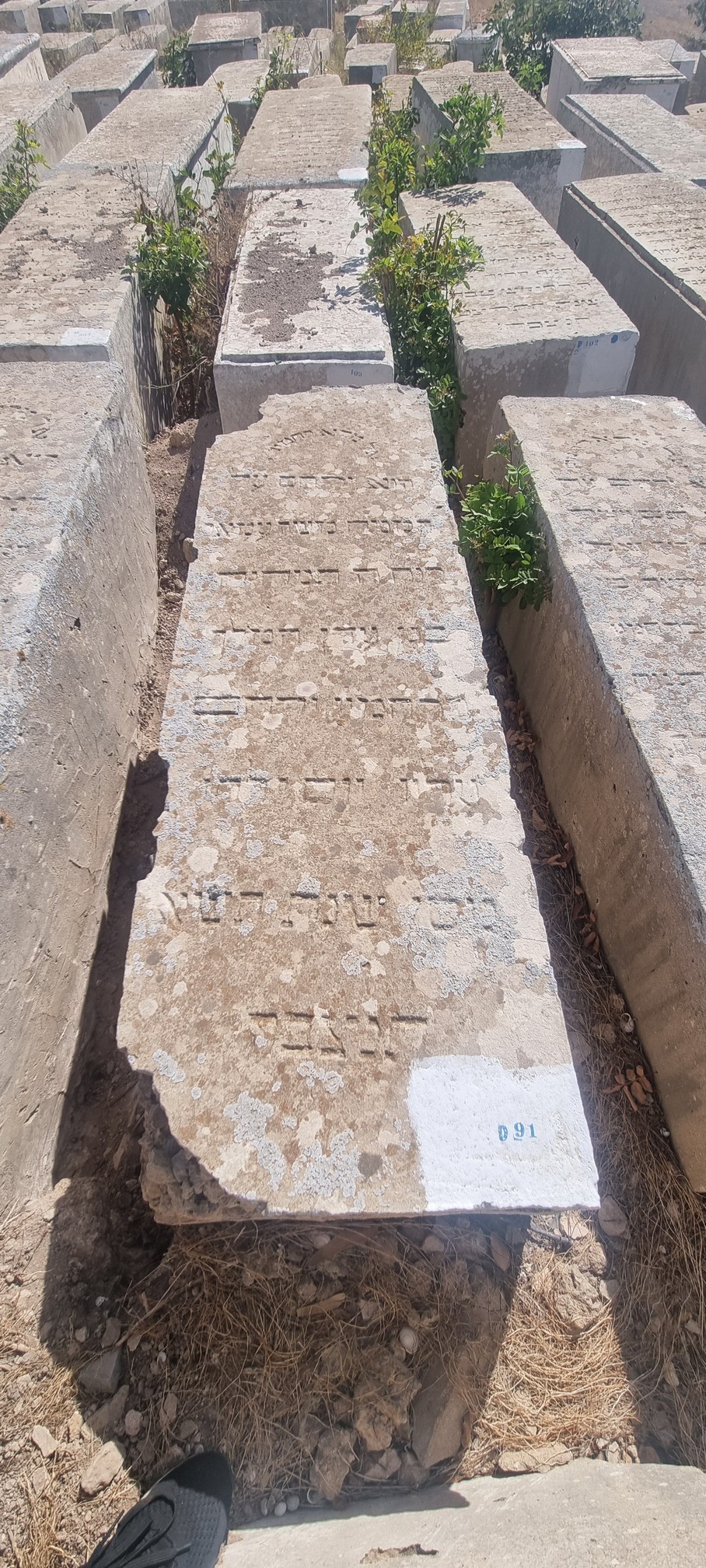מצבת Amar Moshe