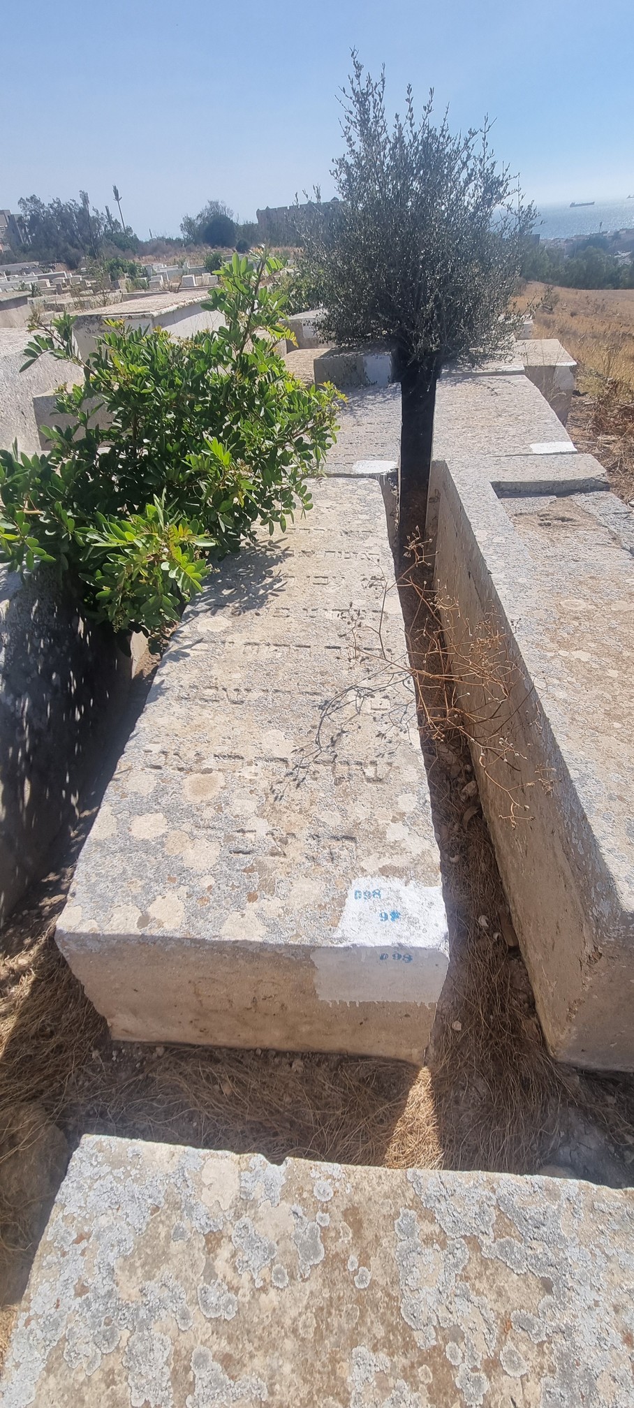 Fhima Shlomo का स्मारक