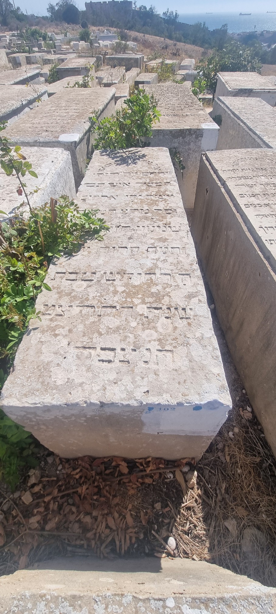 Stèle de Haziza Shimon