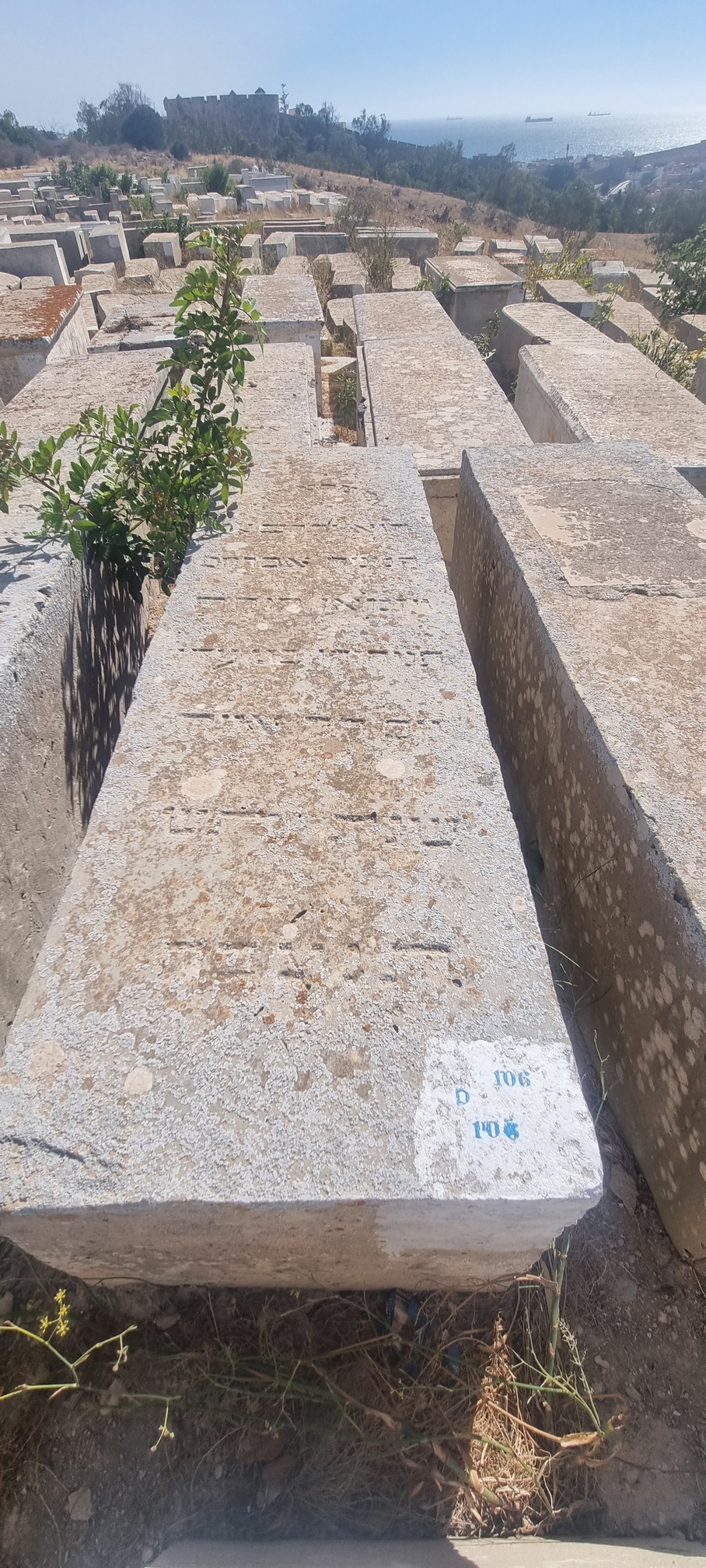 Grafsteen van Wizman Avraham