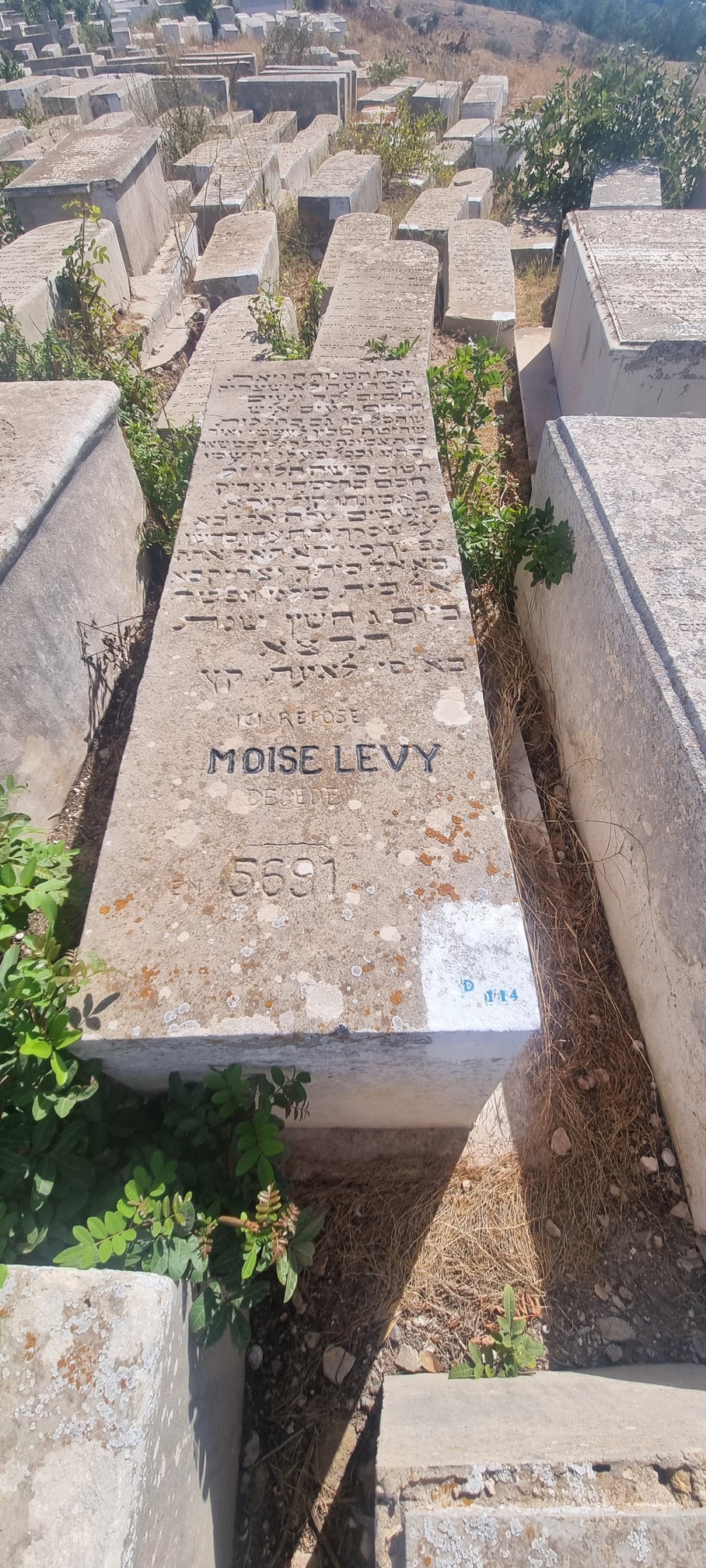 Tombstone of Lévy Moïse