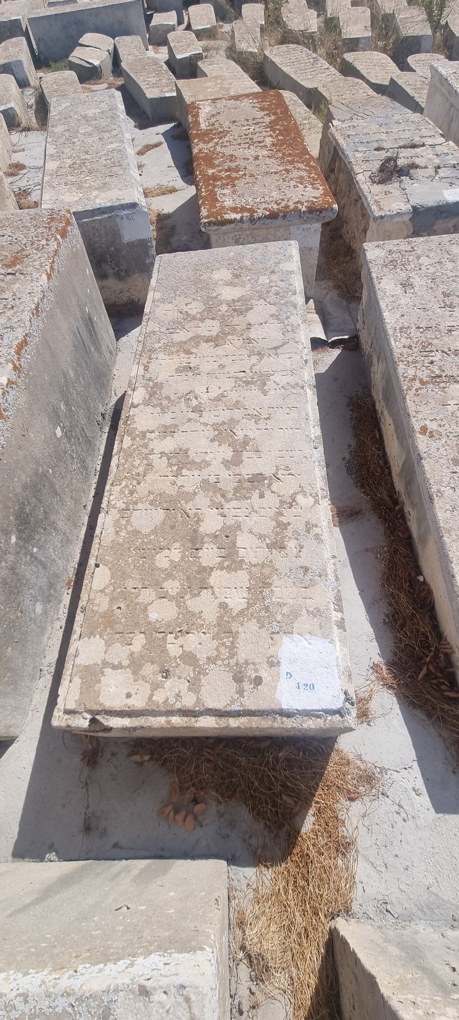 מַצֵּבה פון Abecassis Hanania