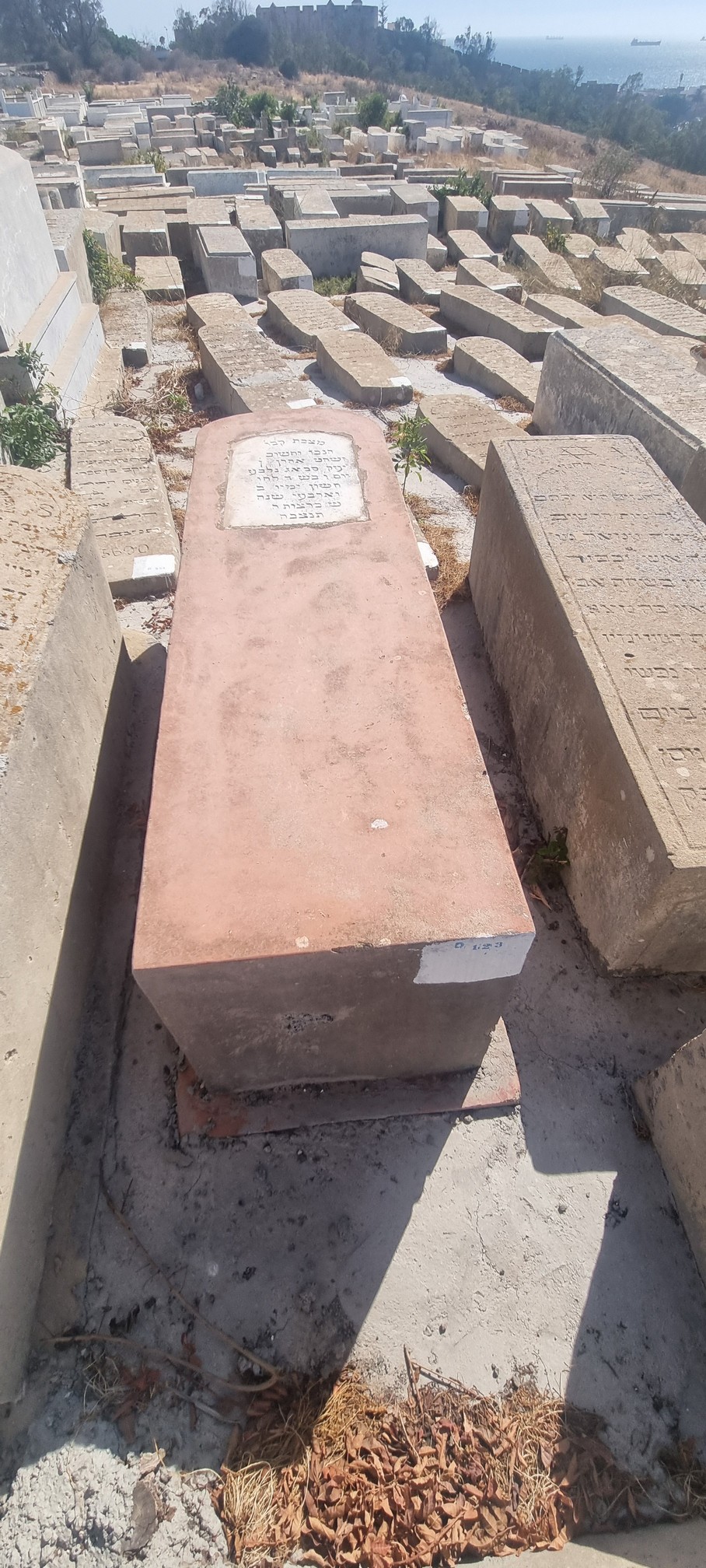 מצבת Sebag Aaron
