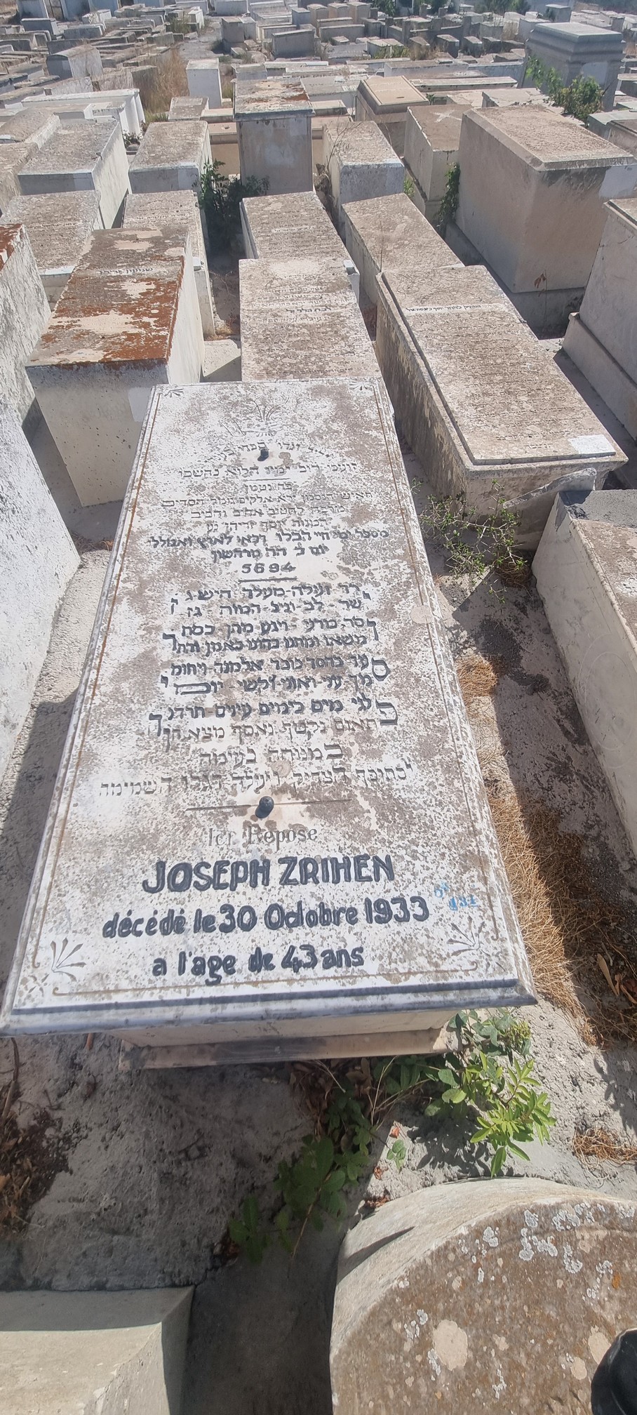 מצבת Zrihen Joseph