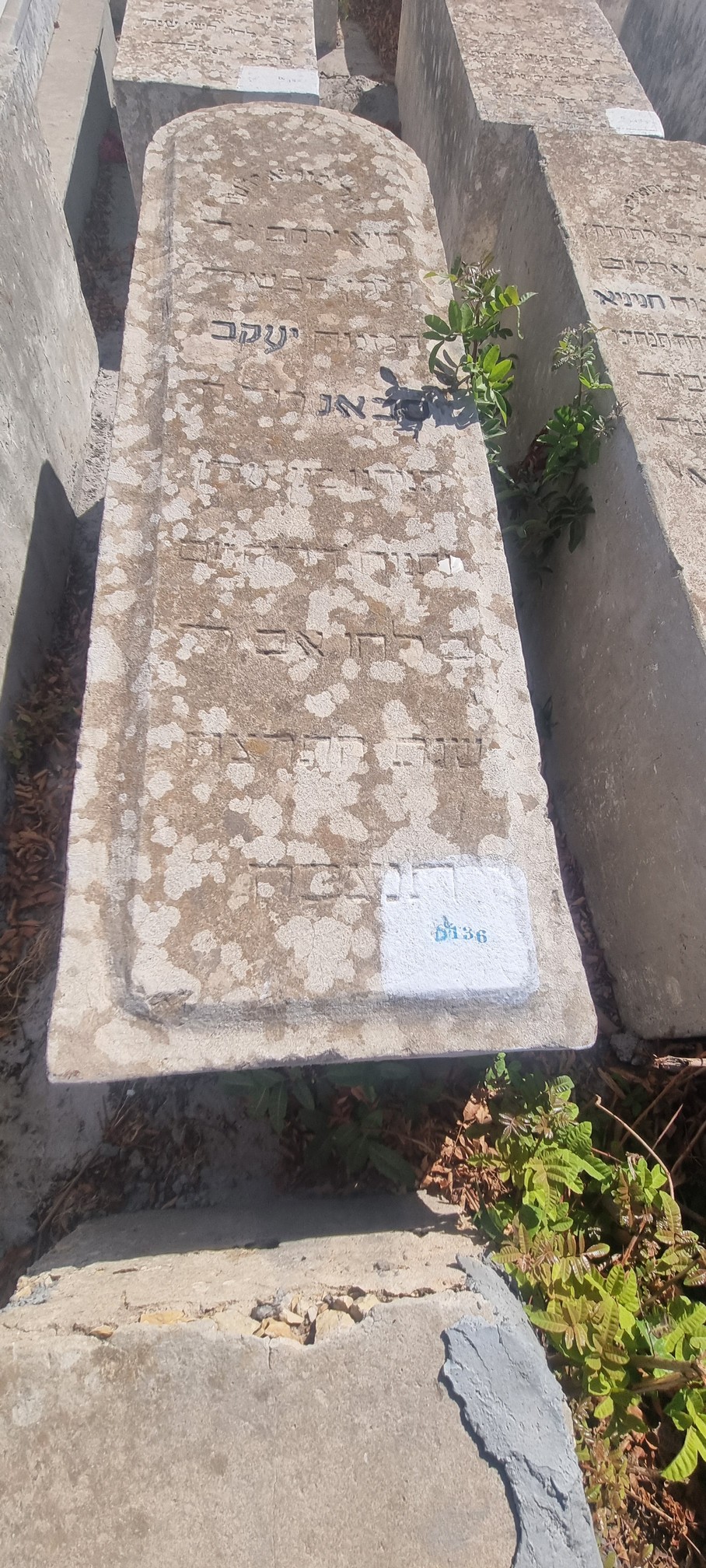 Stèle de Sebag Yaakov
