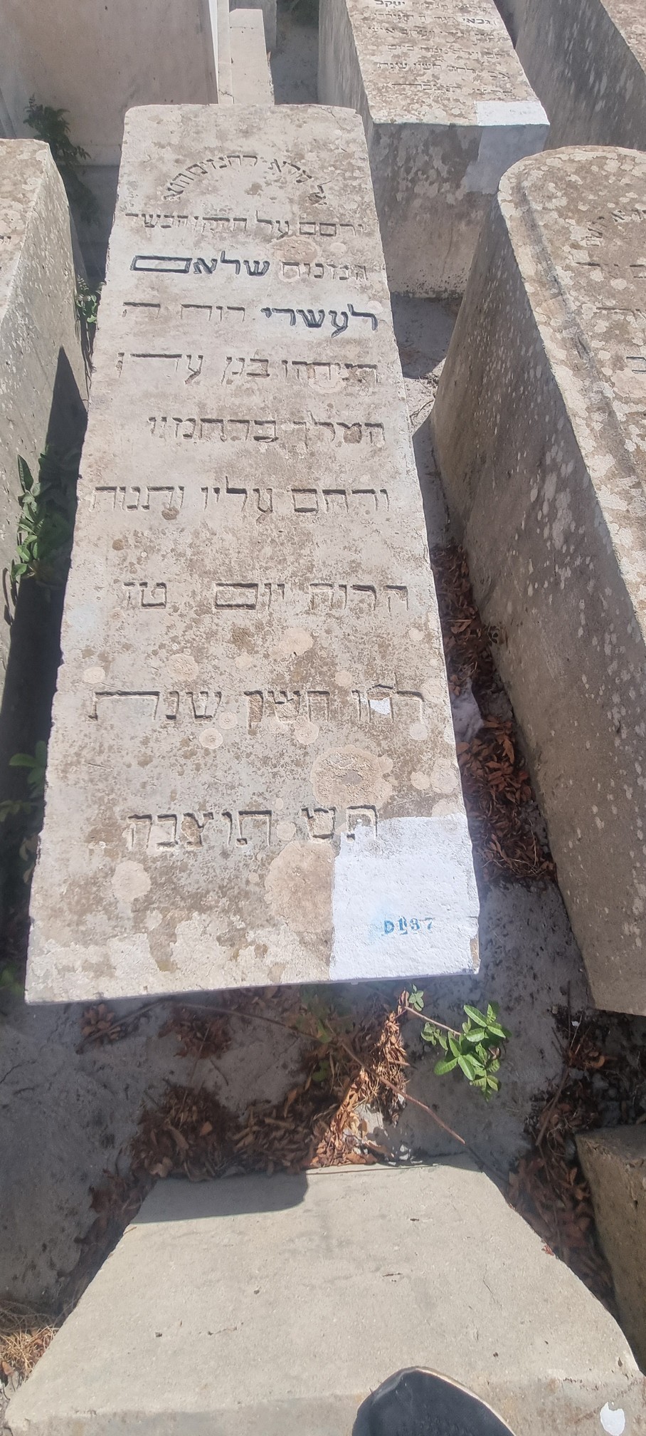 מַצֵּבה פון Leezri Shalom